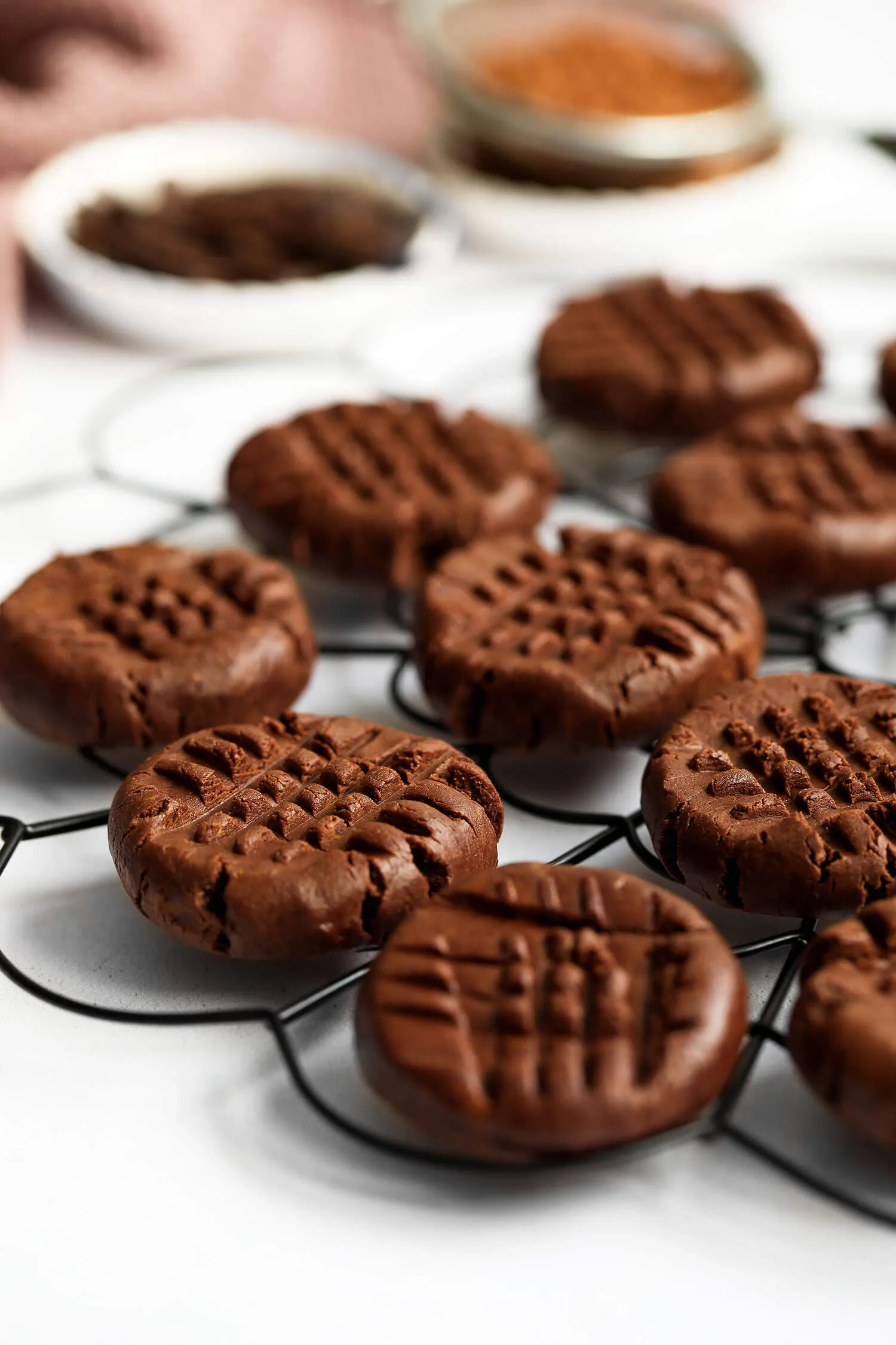 Healthy No Bake Chocolate Protein Cookies