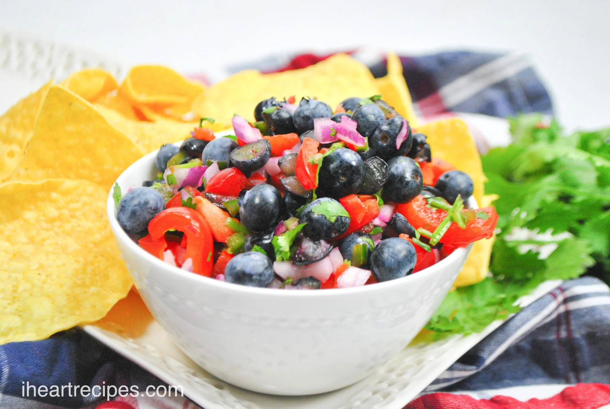 Hill Country Blueberry Salsa