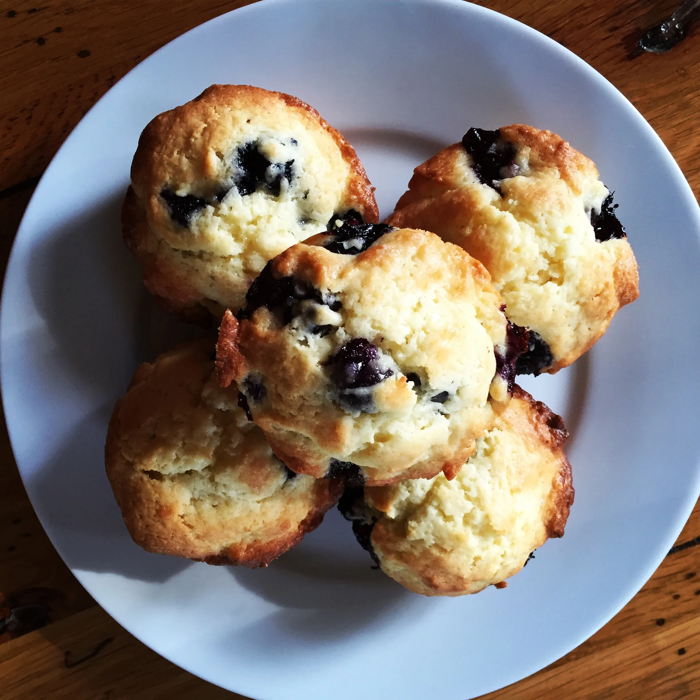 Homemade Wild Blueberry Muffins