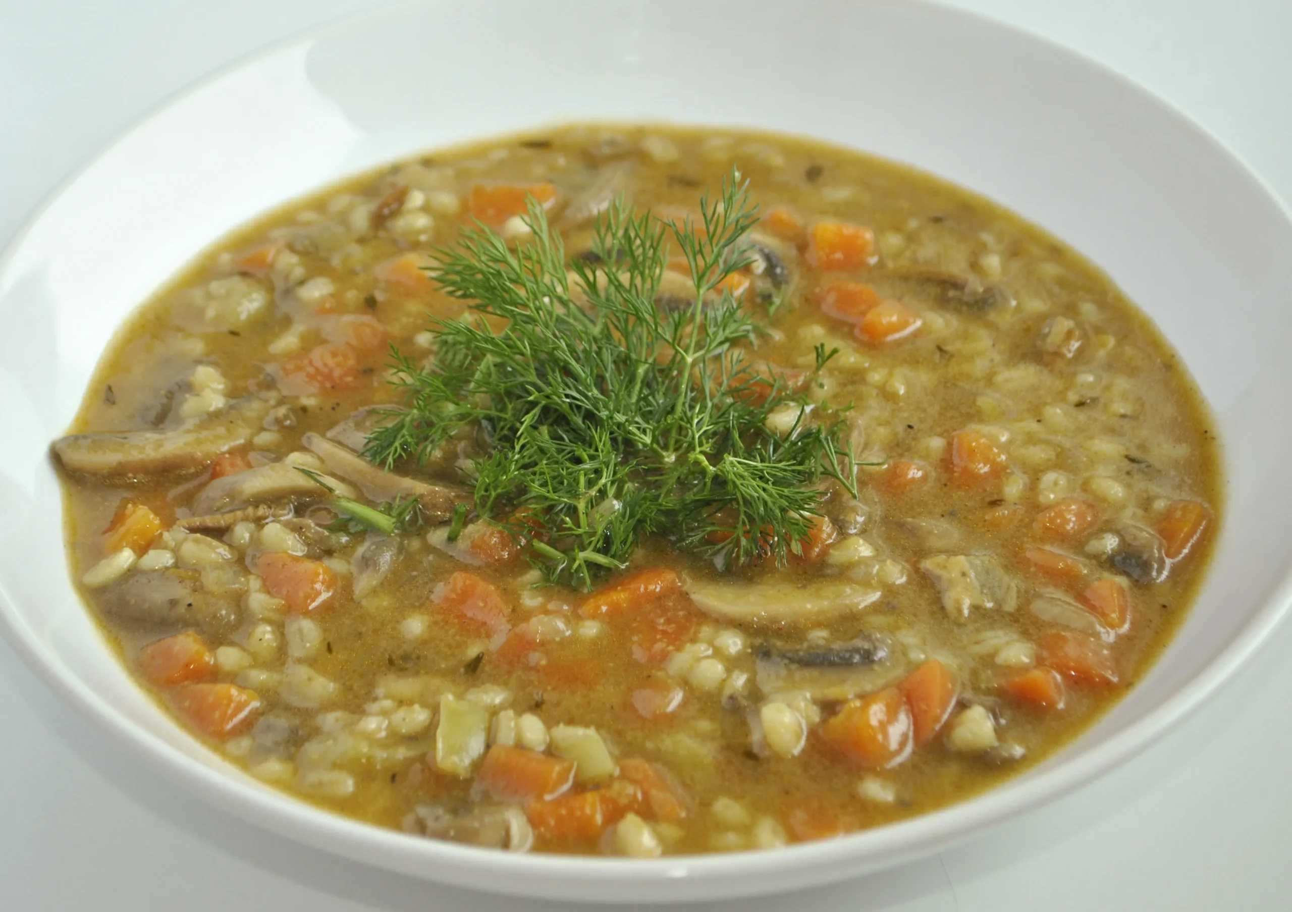 Hungarian Mushroom and Barley Soup
