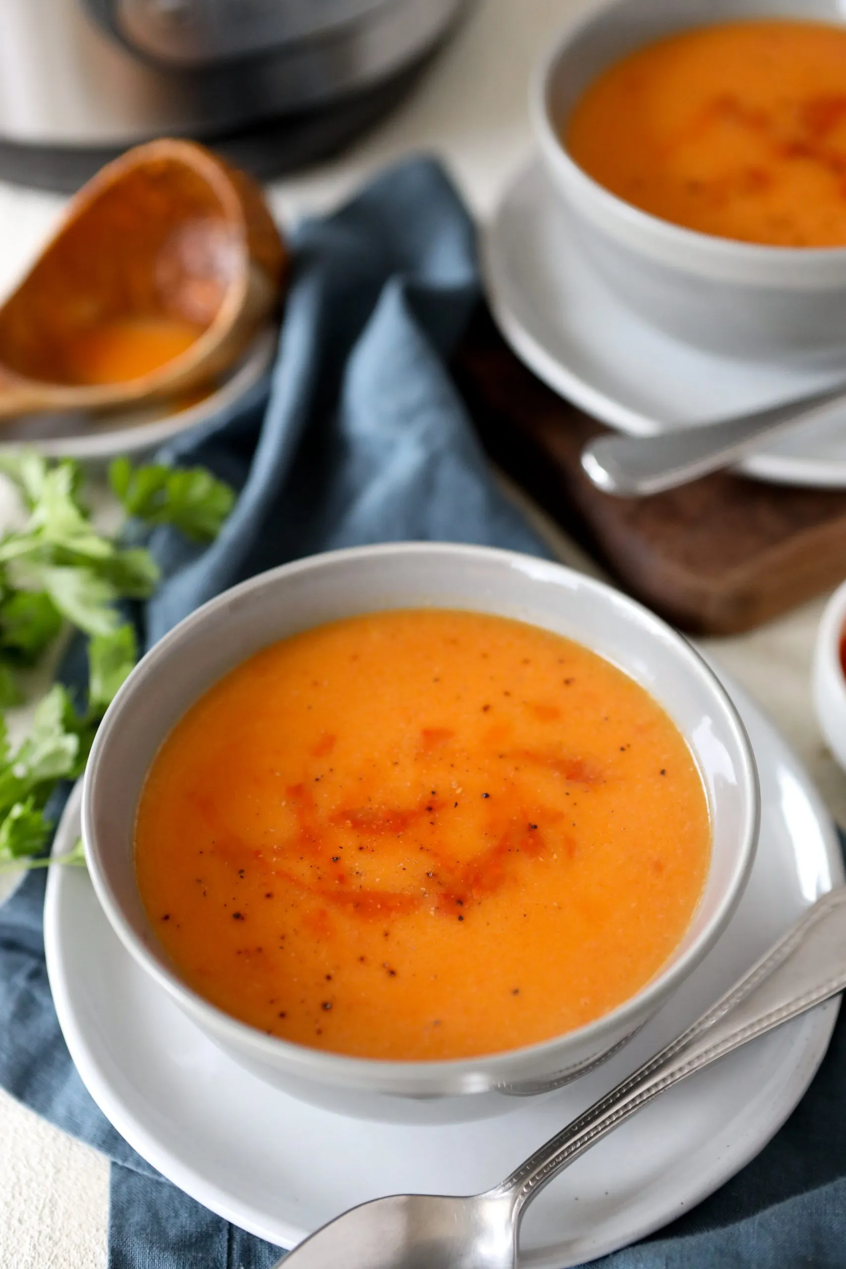 Instant Pot Carrot Soup