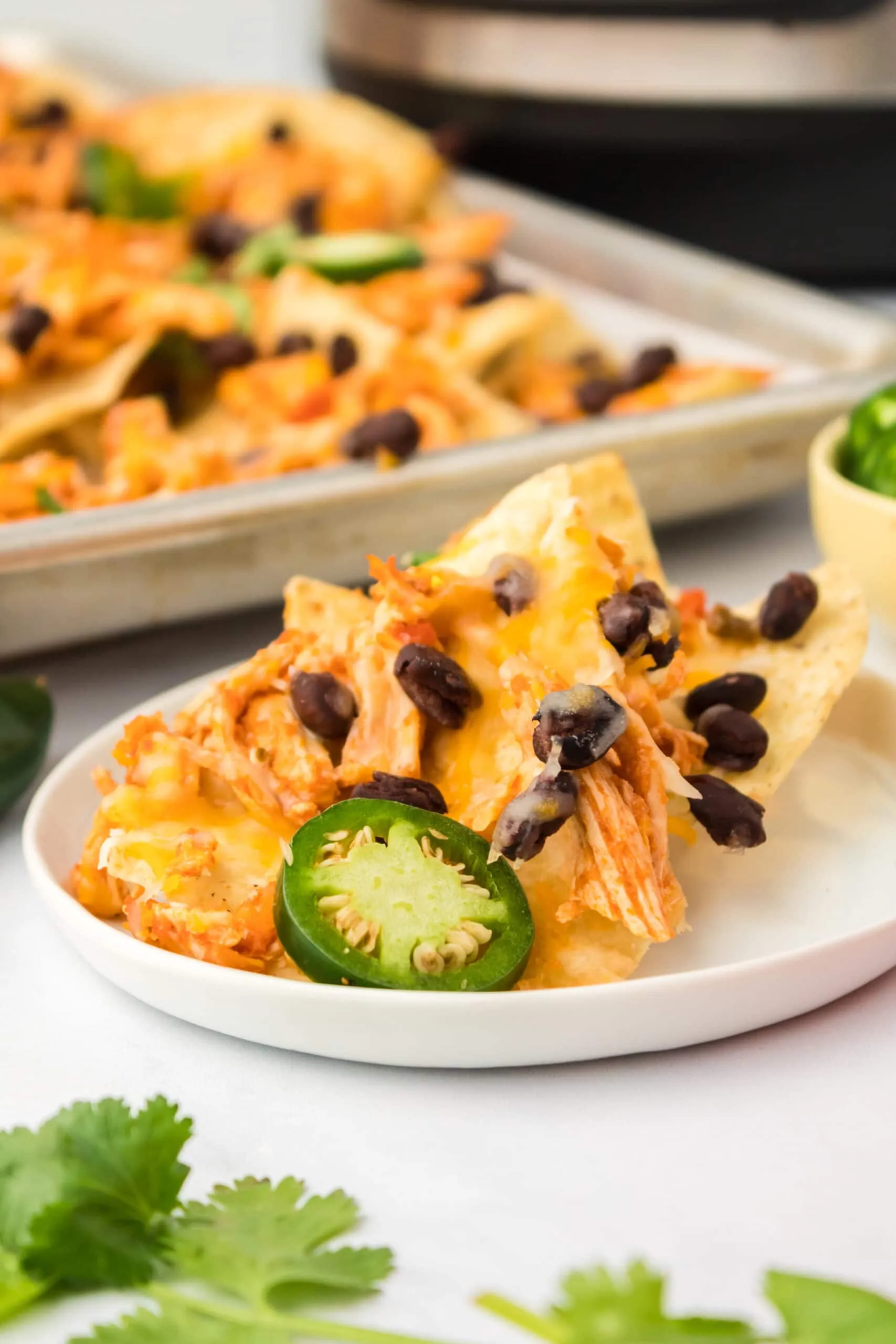 Instant Pot Chicken Nachos Freezer Meal