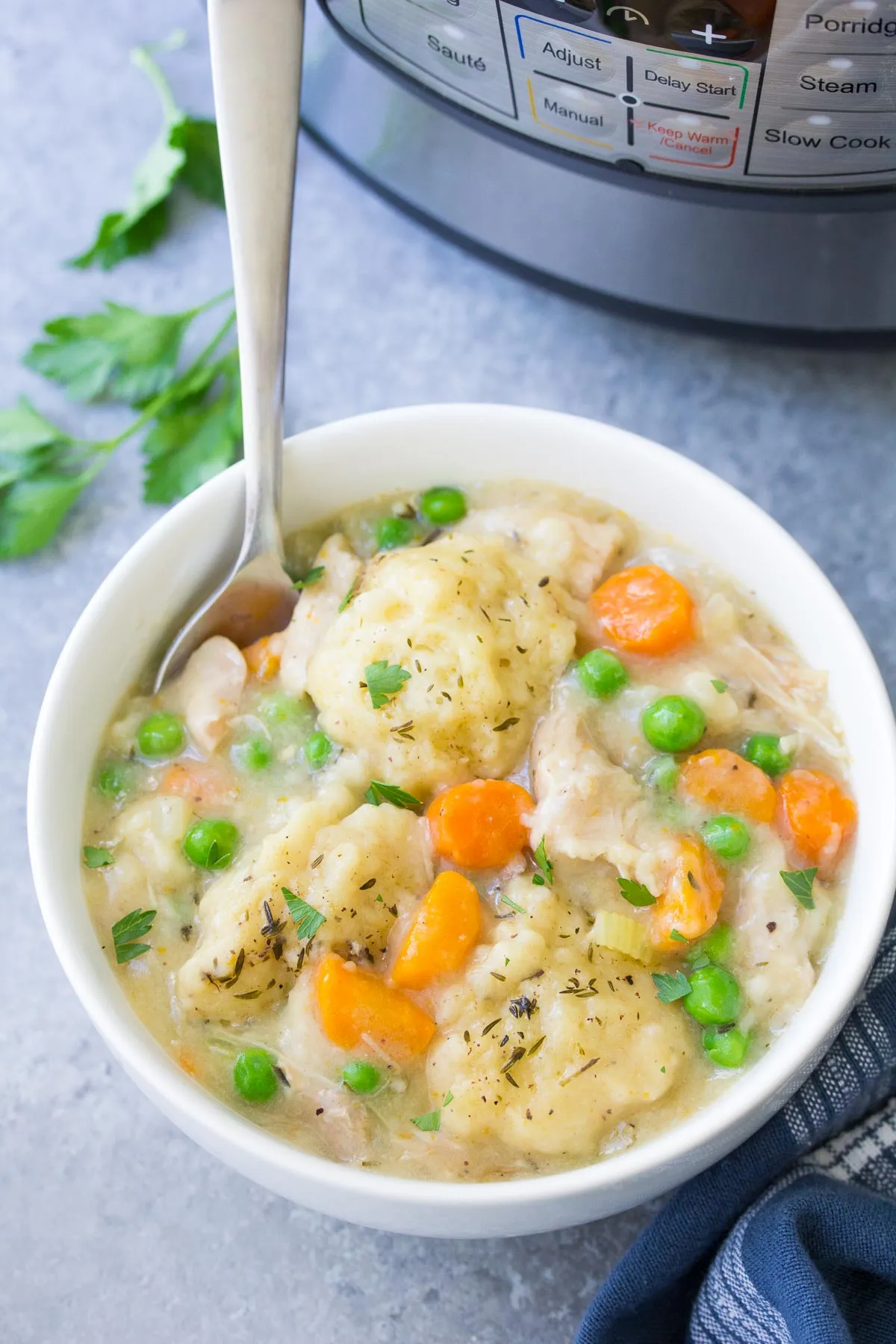 Instant Pot Chicken and Dumplings with Noodles