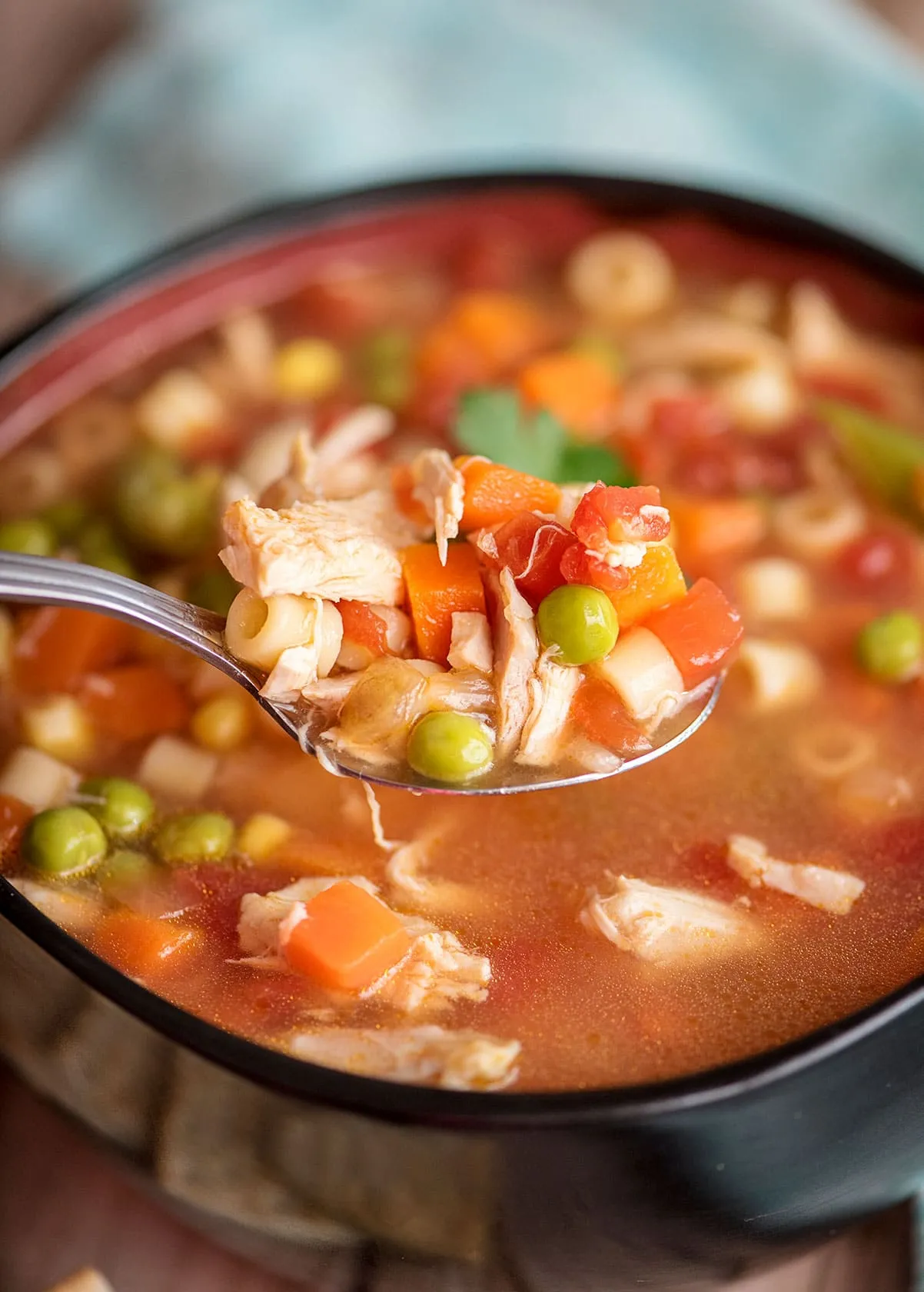 Instant Pot Healthy Chicken Vegetable Soup