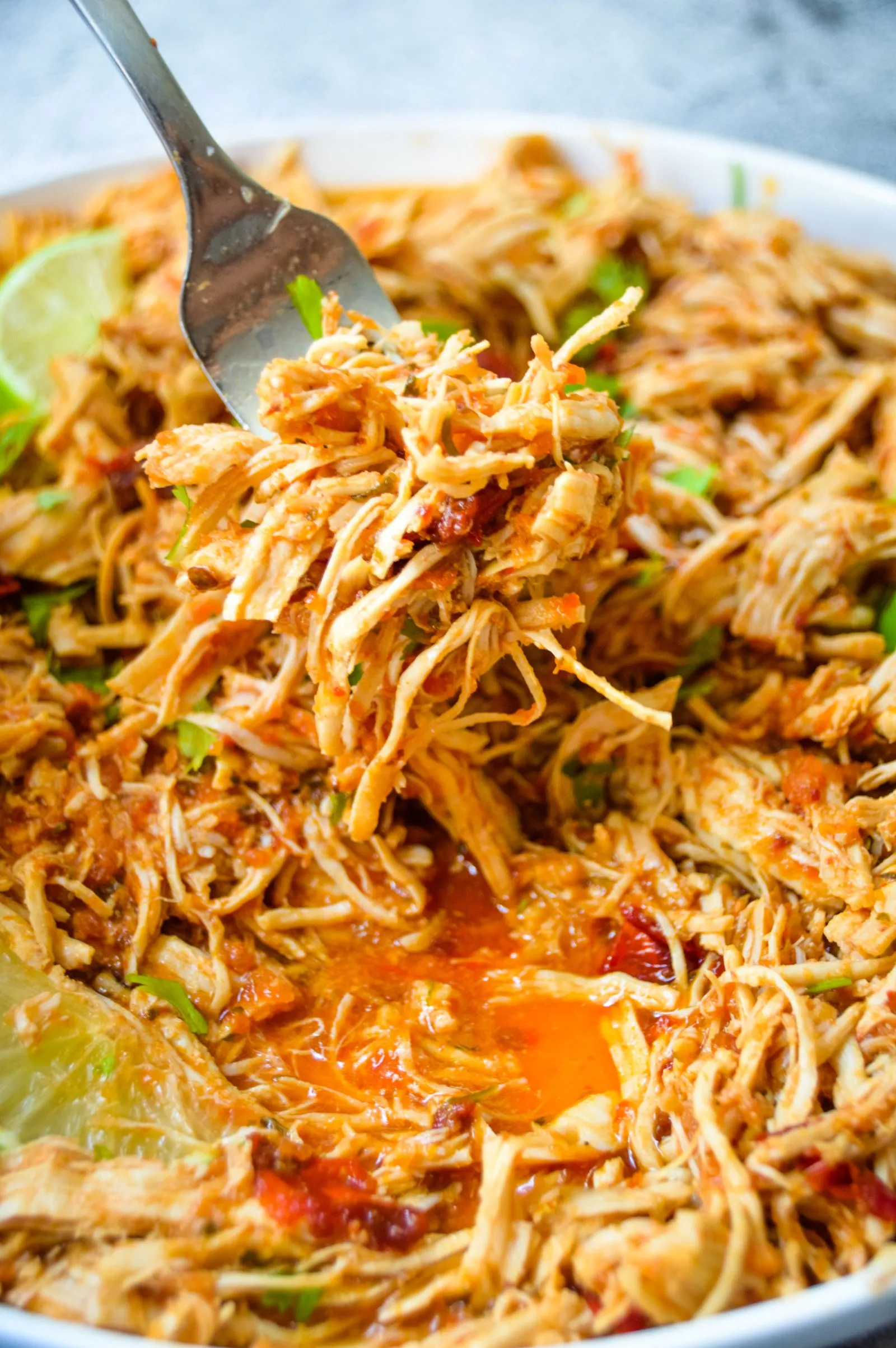 Instant Pot Mexican Shredded Chicken