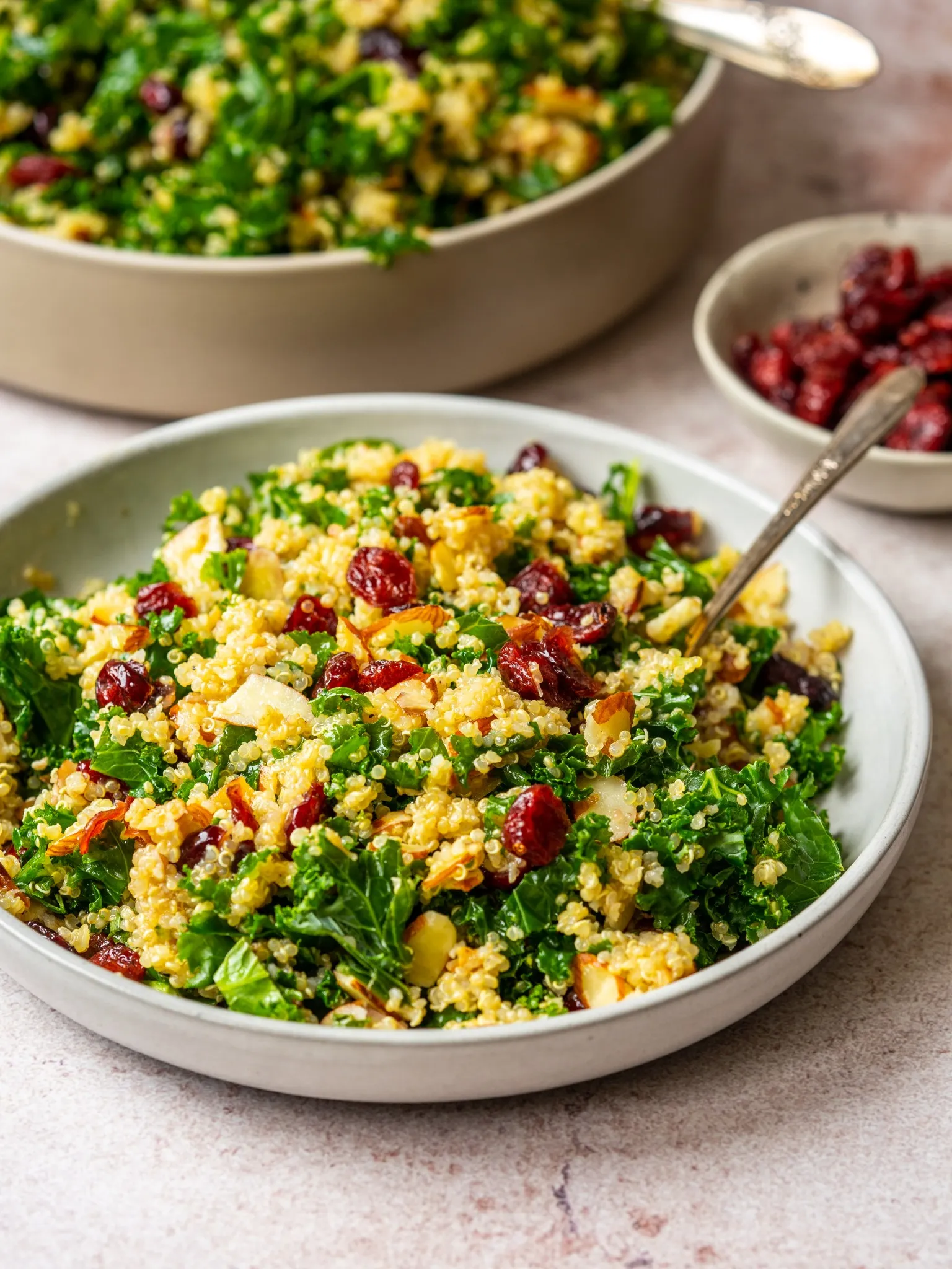 Kale Apple Cranberry Salad with Quinoa