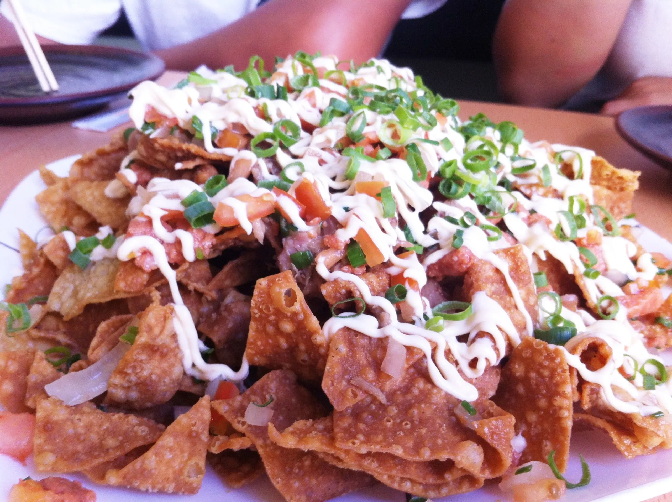 Kalua Pig Won Tons