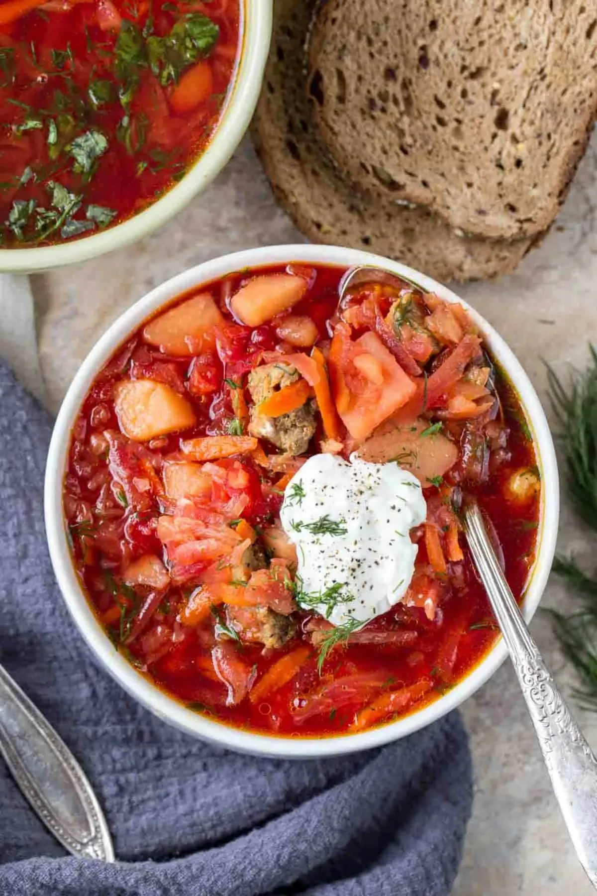 Kristine's Russian Red Borscht