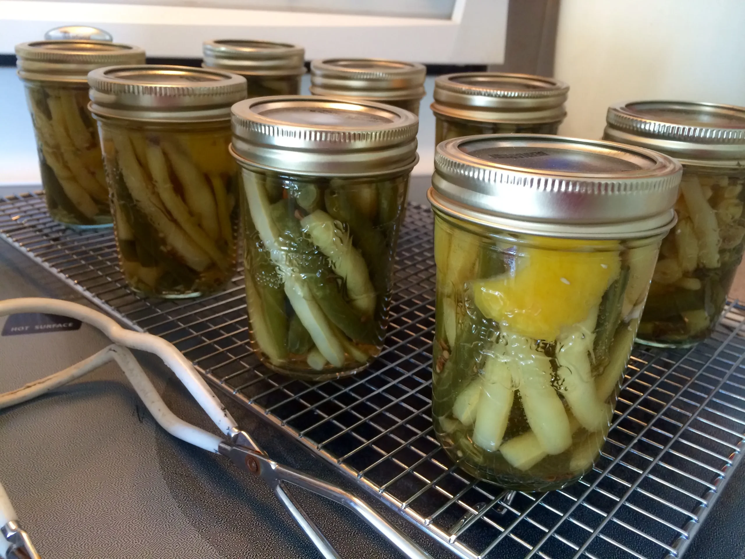 Lemon Spiced Bean Pickle