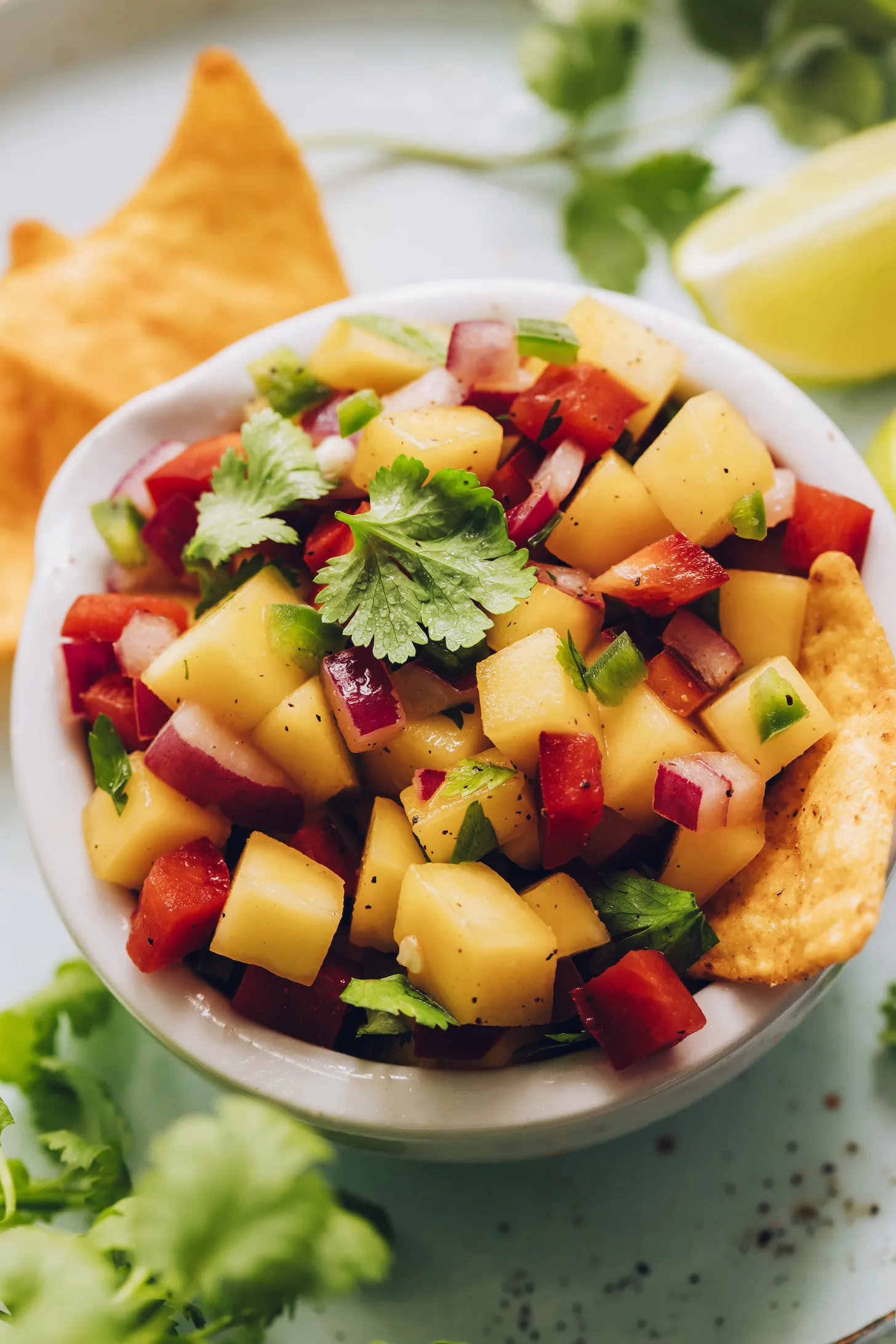 Mango Five Color Spring Salsa