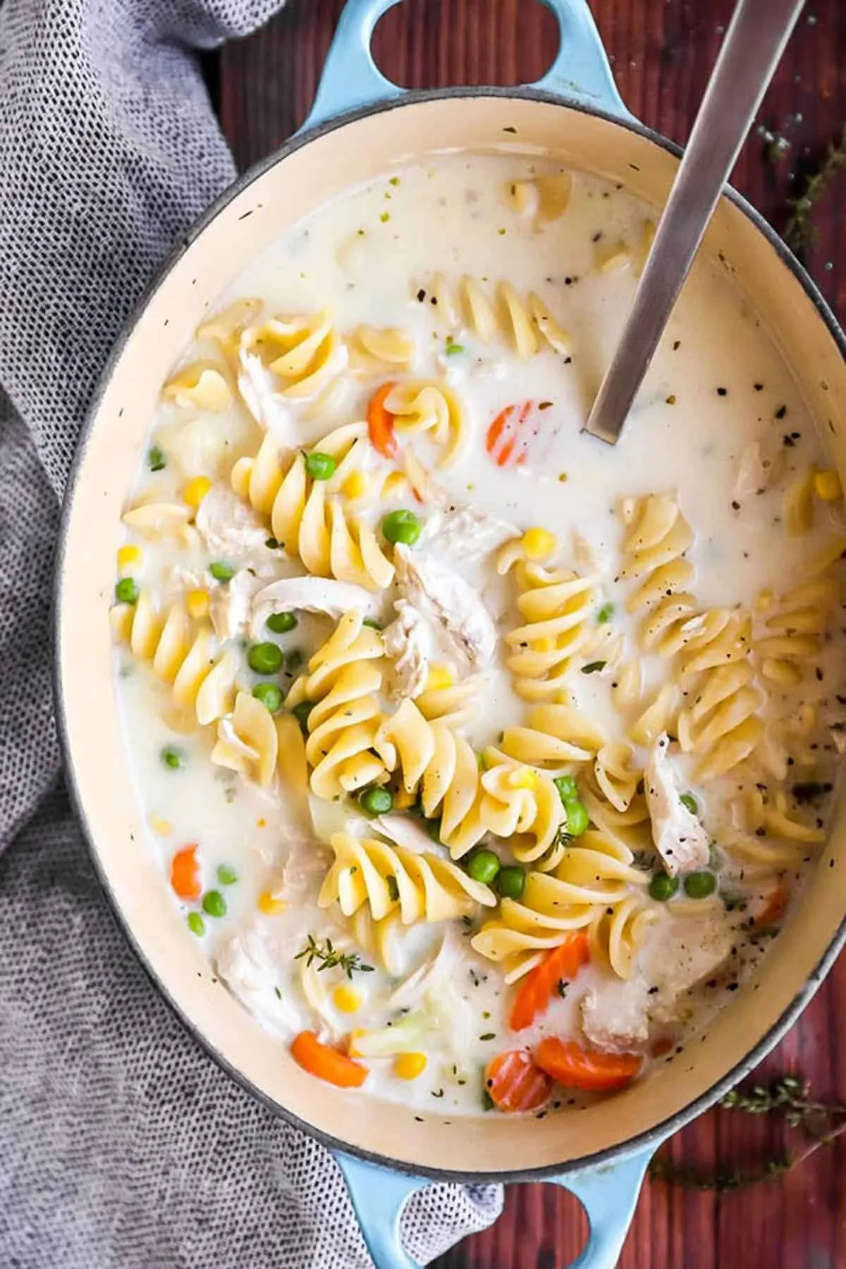 Mary Basic Homemade Chicken Noodle Soup