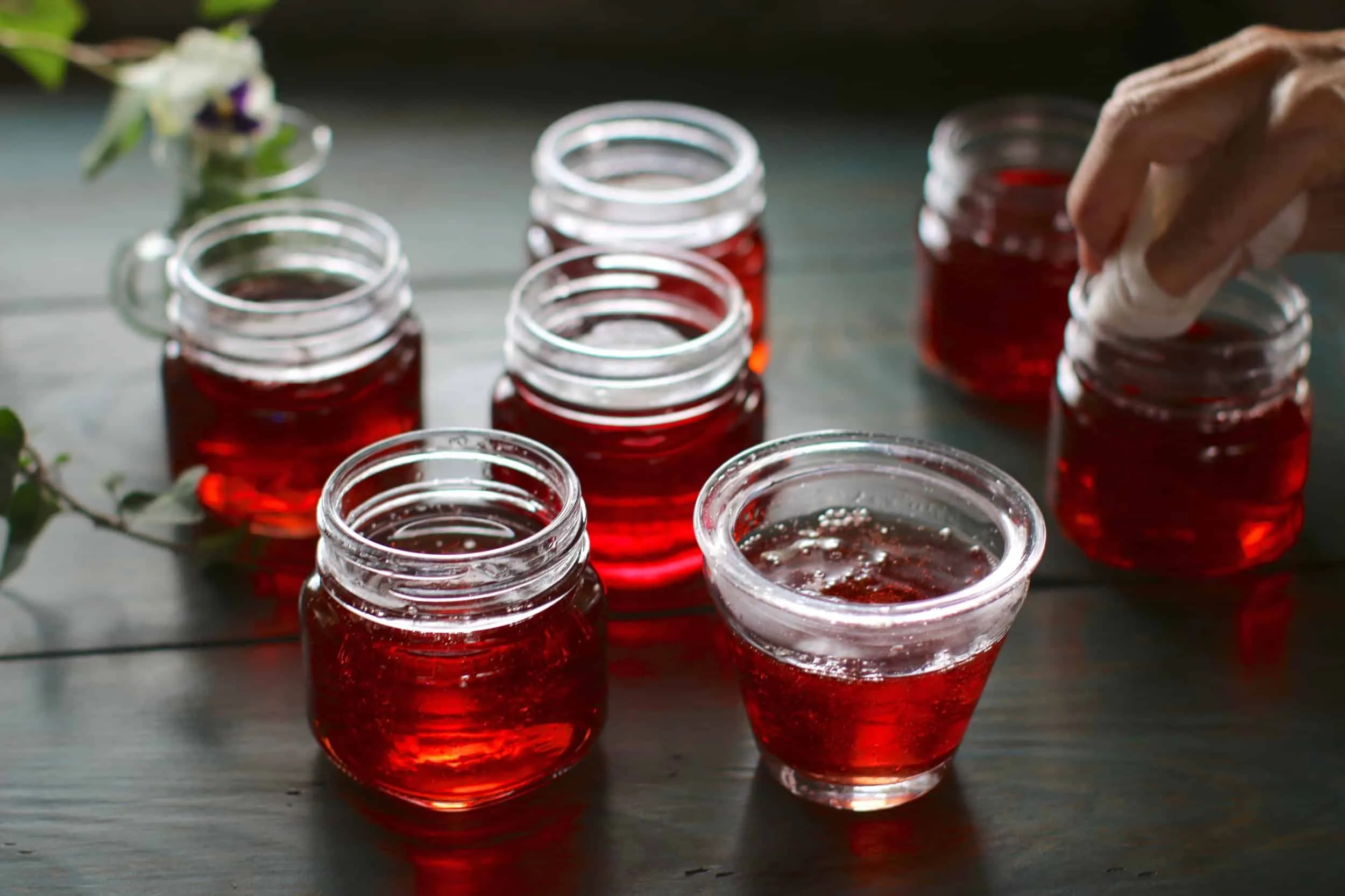 Mayhaw or Plum Jelly
