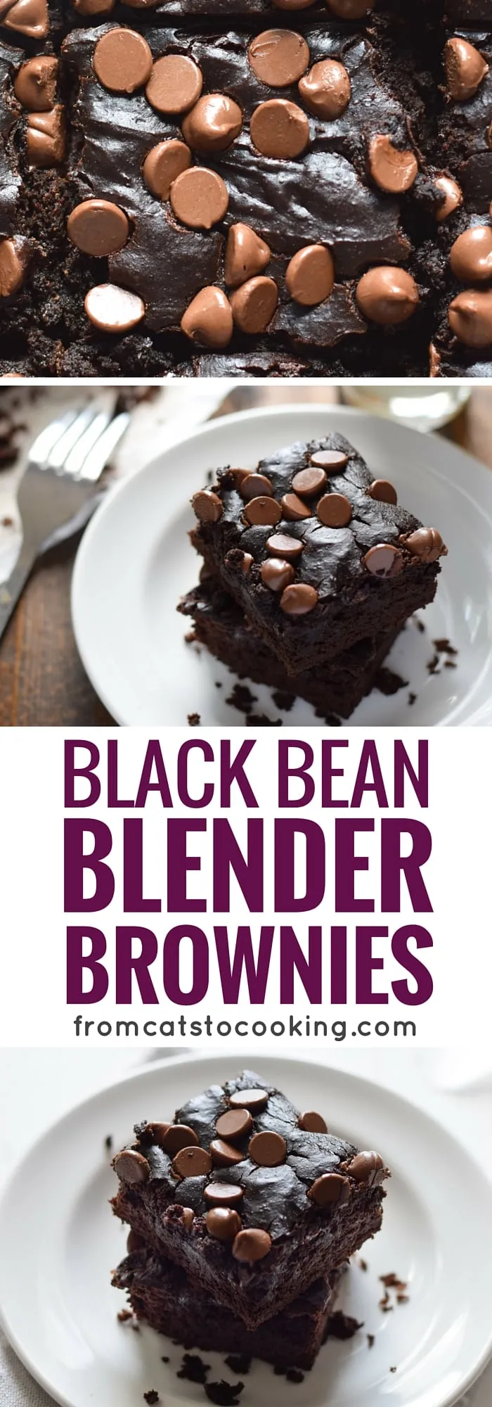 Mexican Black Bean Blender Brownies
