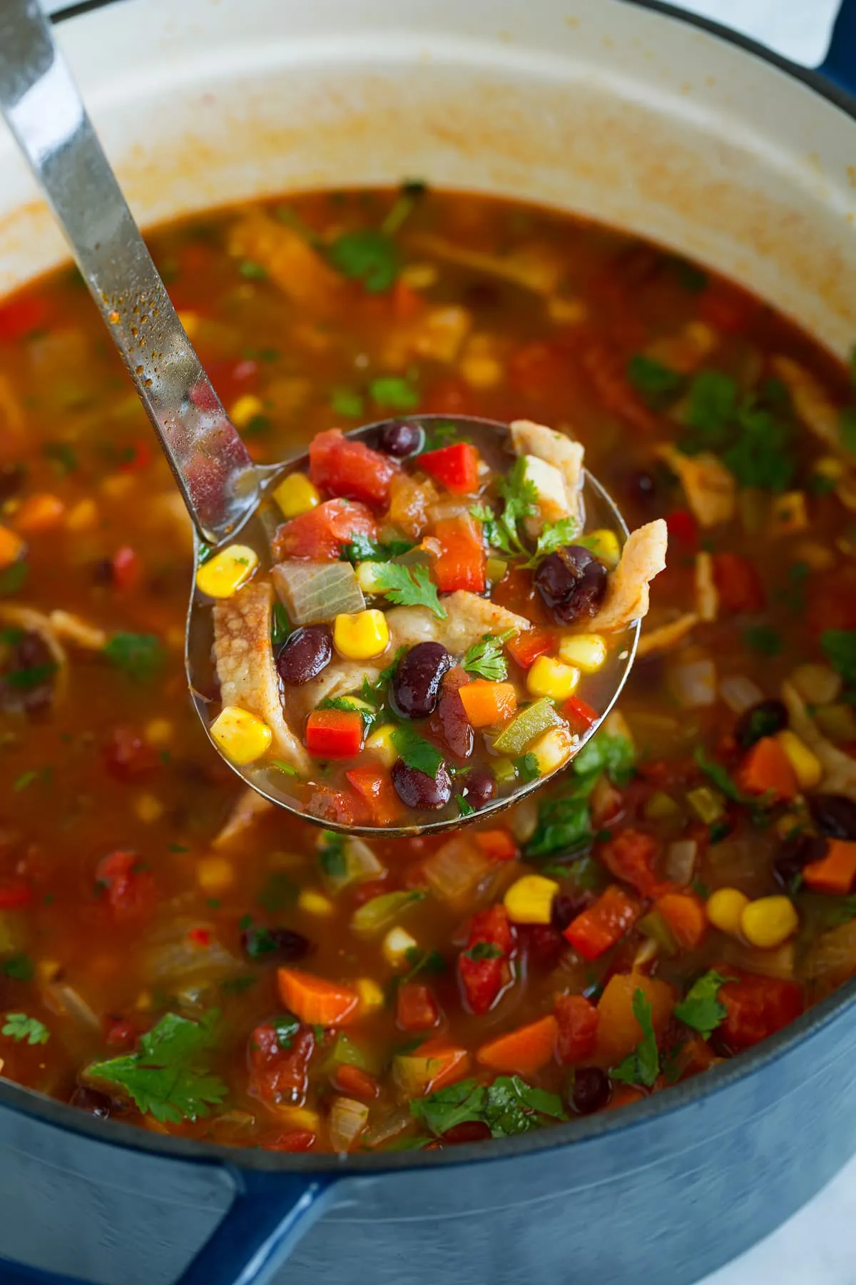 Mexican Black Bean Soup