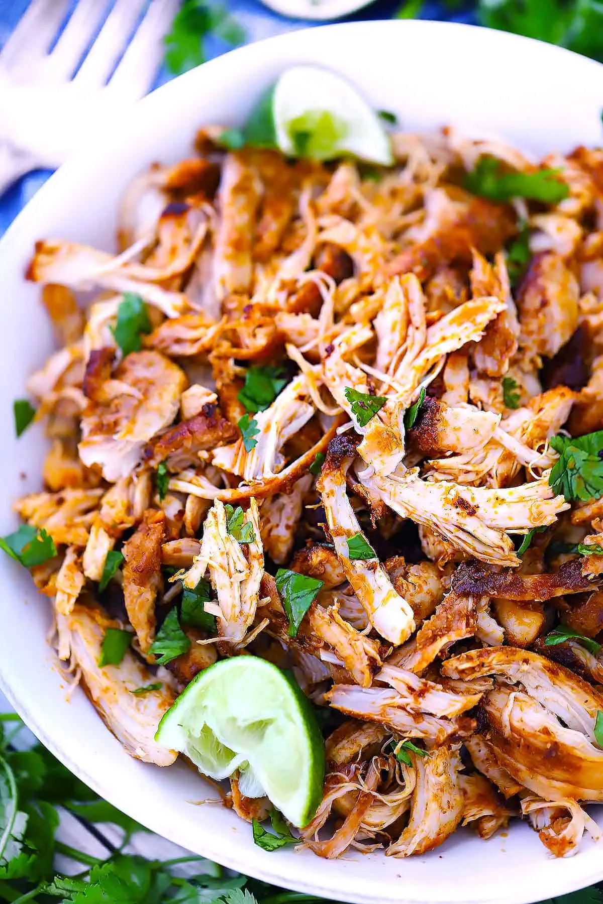 Mexican Pulled Chicken and Beans
