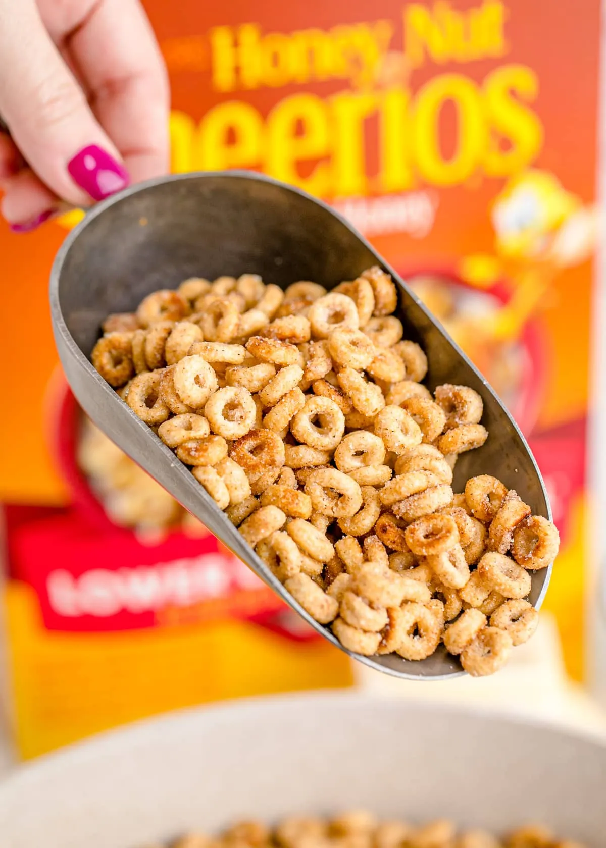 Mini Doughnut Hot Buttered Cheerios