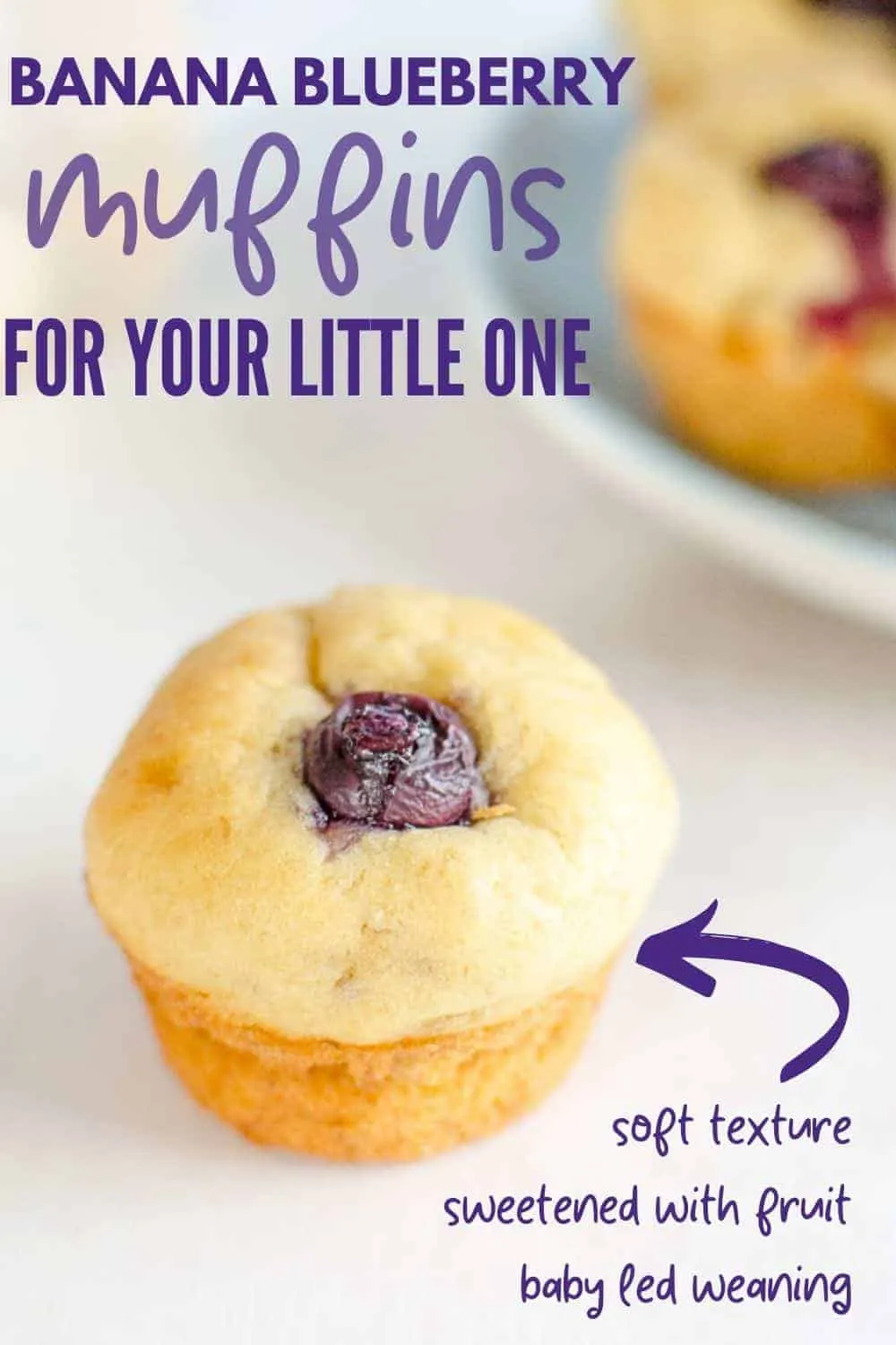 Muffins for Baby Banana Blueberry