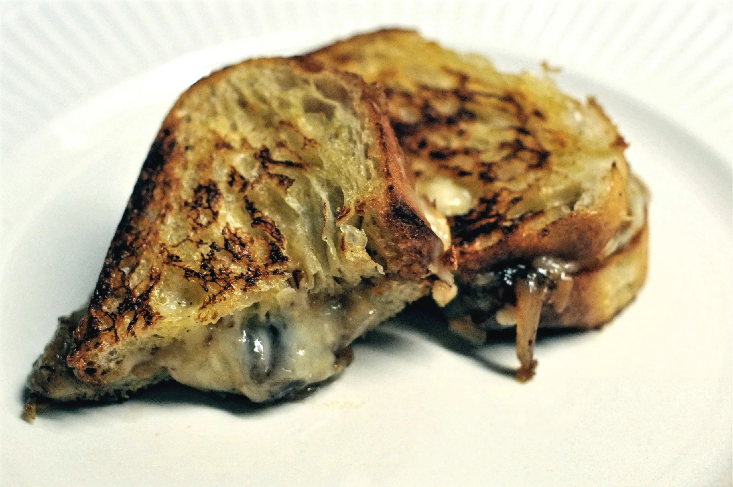 Mushroom Rosemary Fontina Grilled Cheese