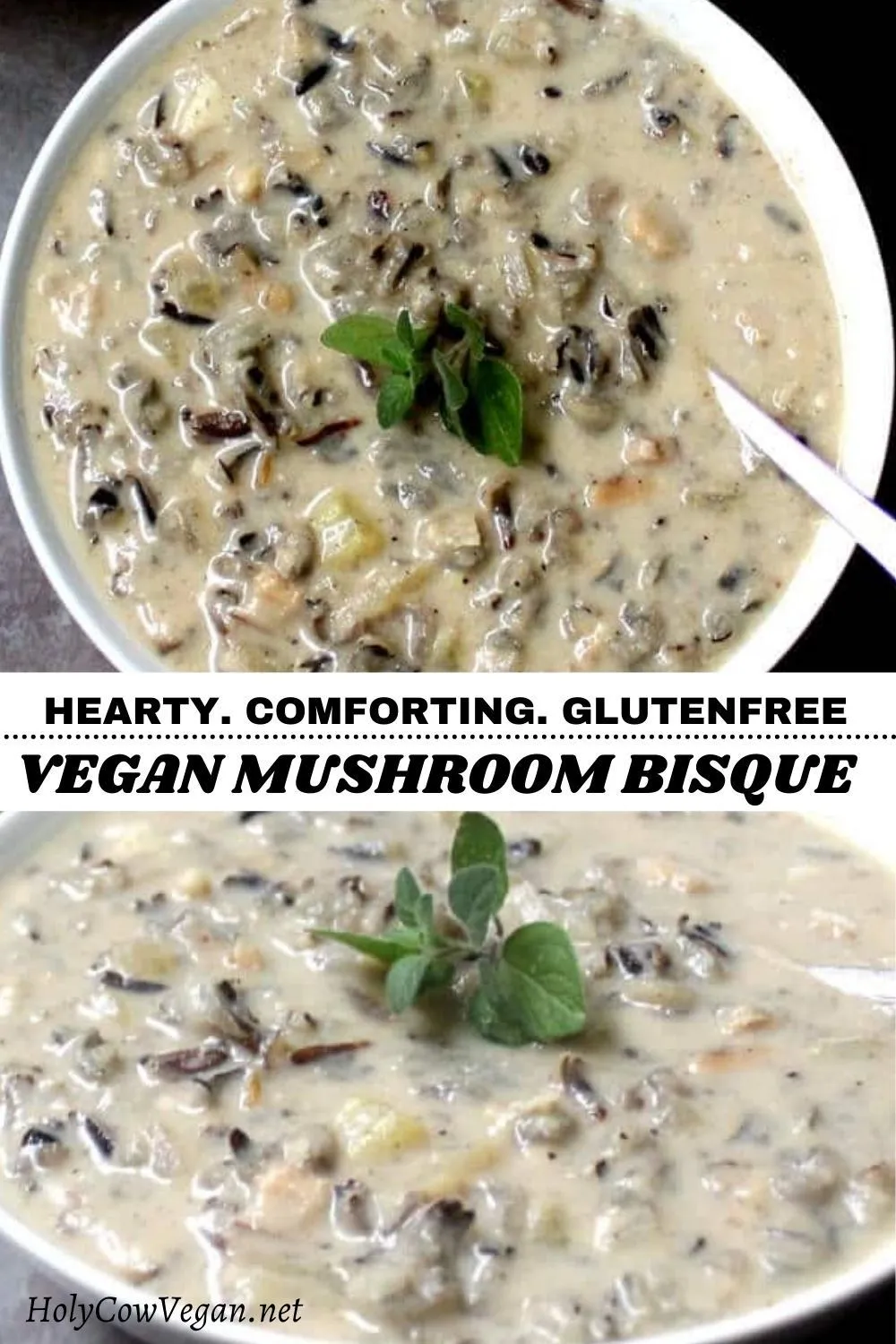 Mushroom and Wild Rice Bisque