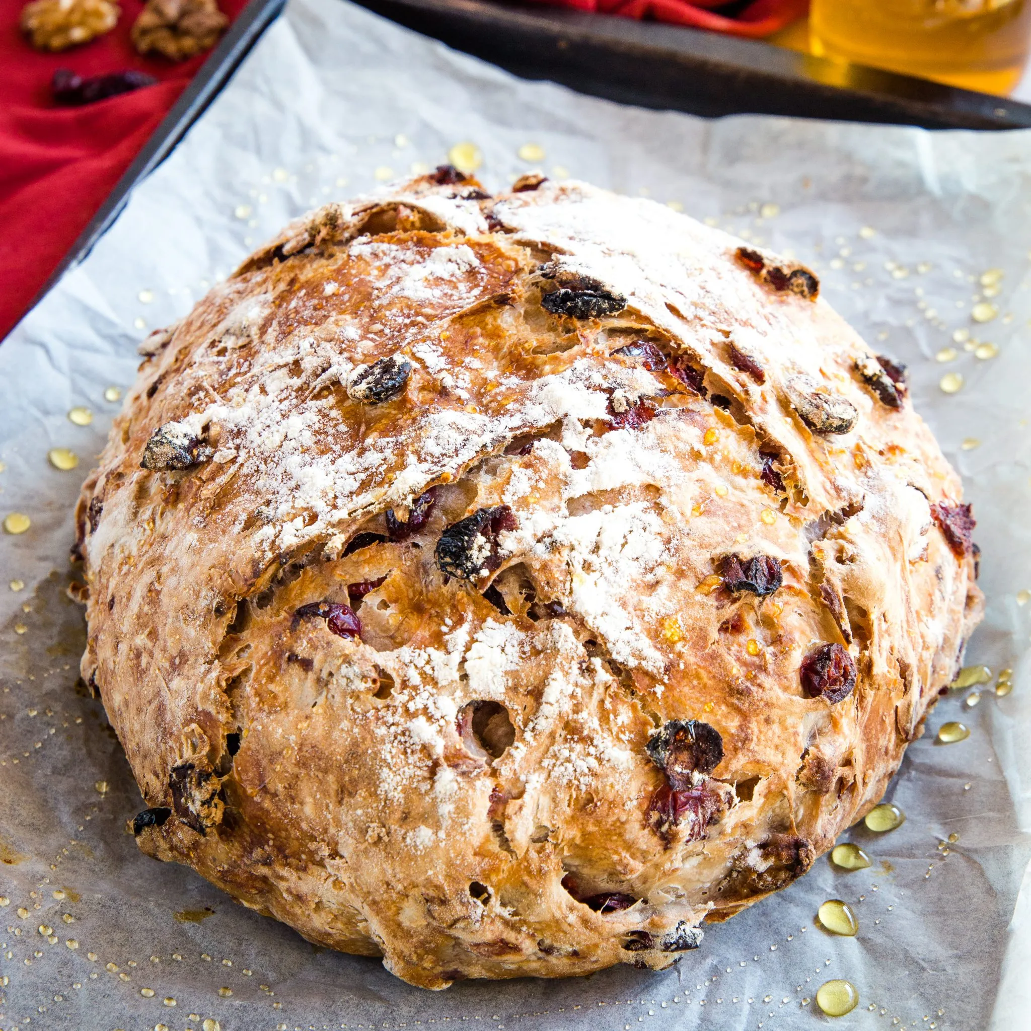 No Knead Cranberry Honey Walnut Artisan Bread