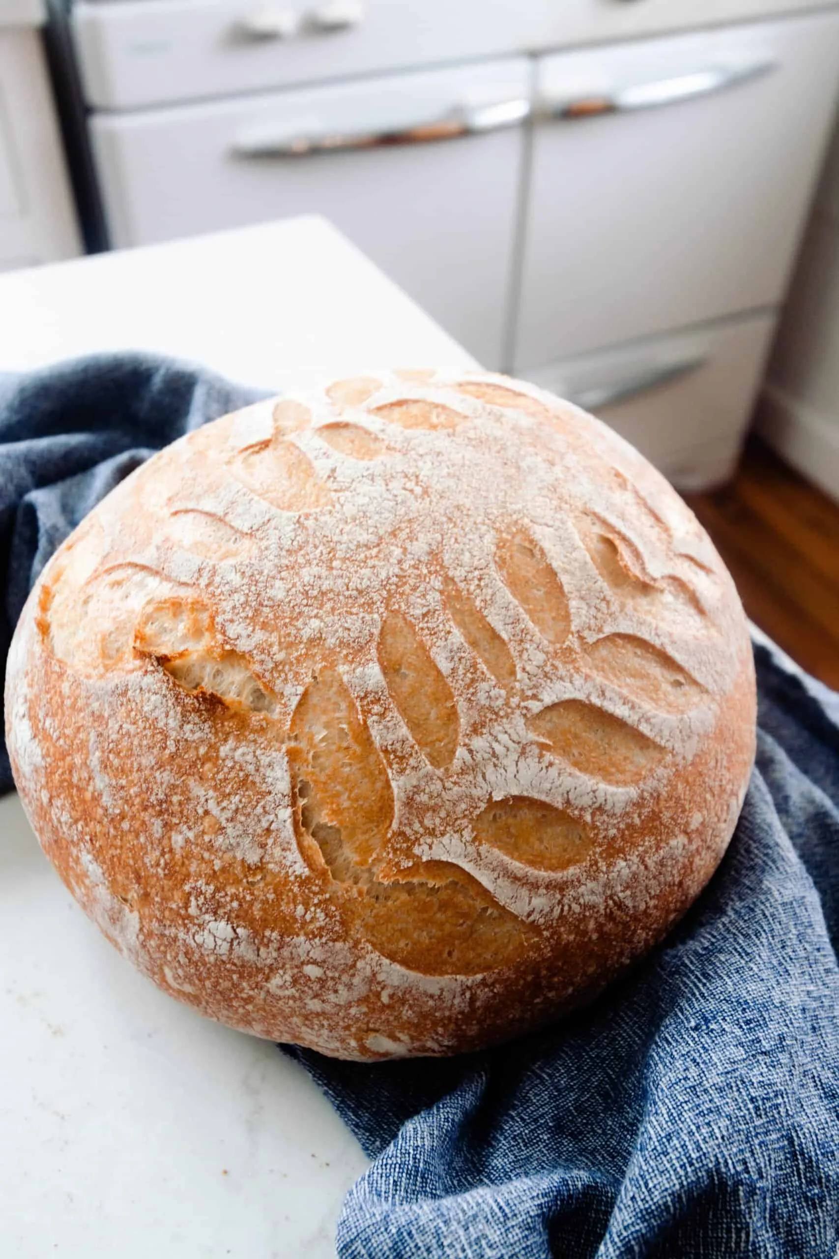 No Knead Whole Wheat Sourdough Bread