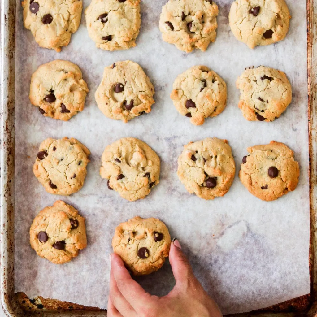 Nut Free Cassava Flour Chocolate Chip Cookies Paleo Vegan Gluten Free