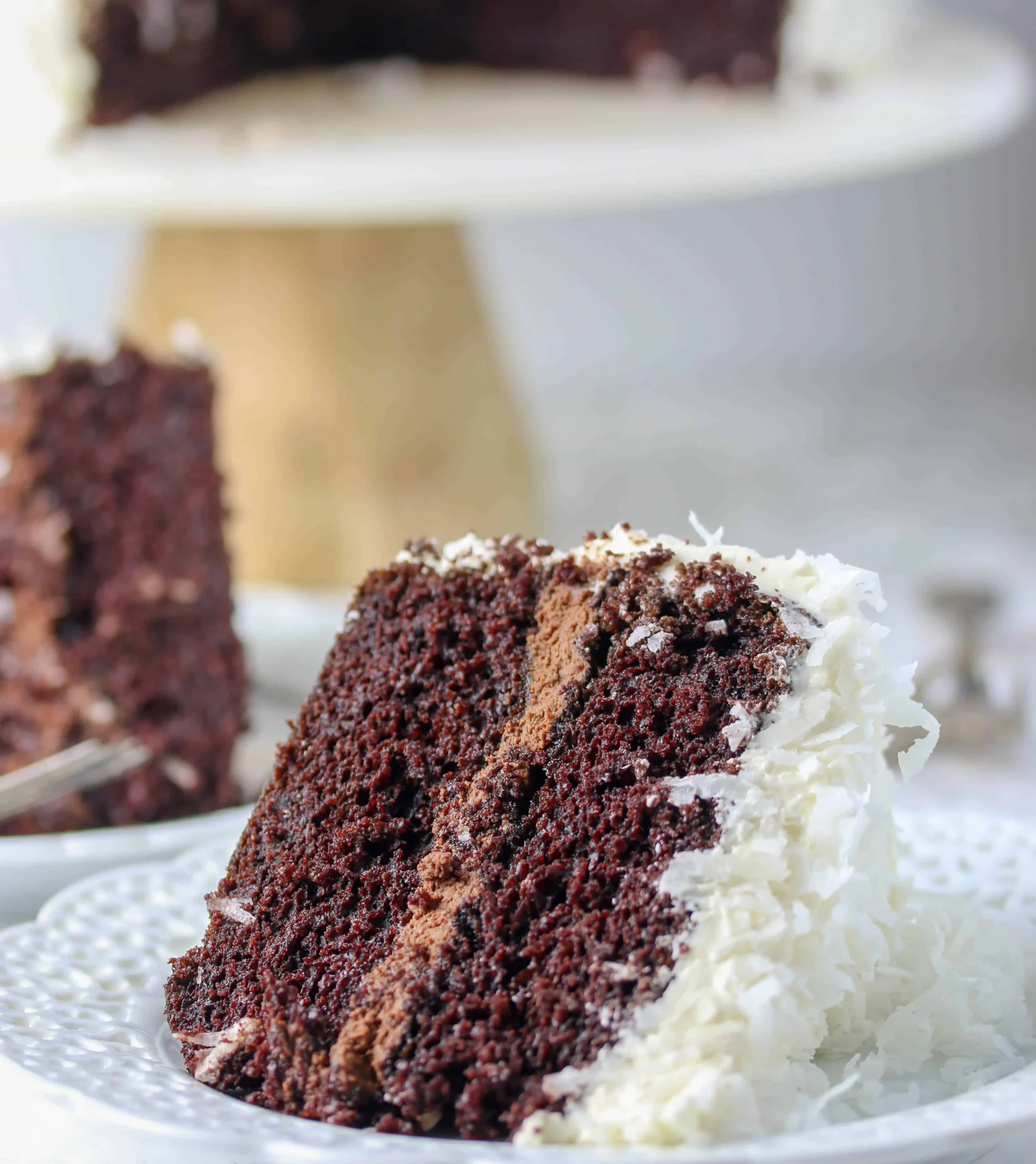 Nutty Coconut Chocolate Cake