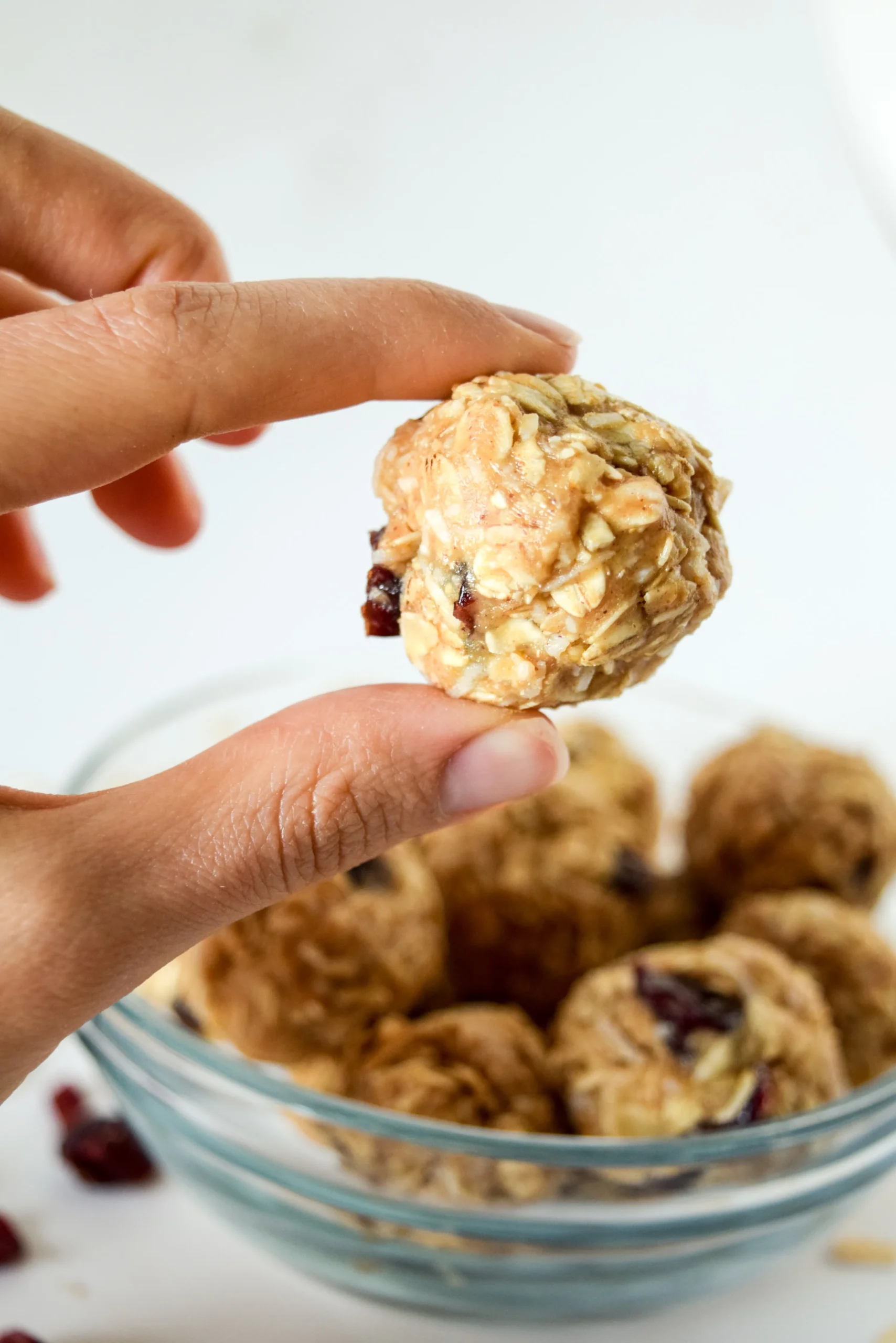 Nutty Oatmeal Cranberry Energy Bites