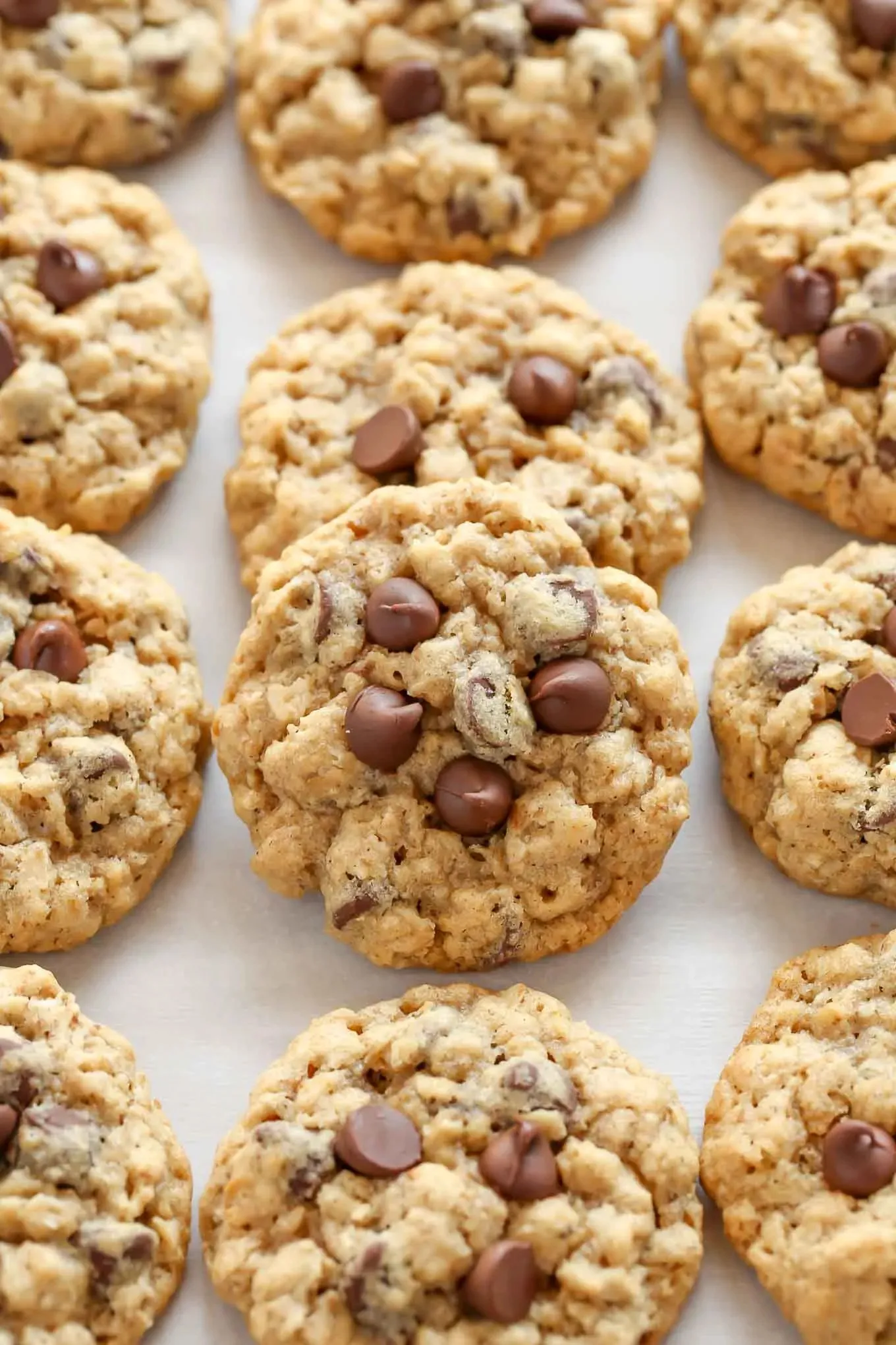 Oatmeal Chocolate Chip Toffee Cookies