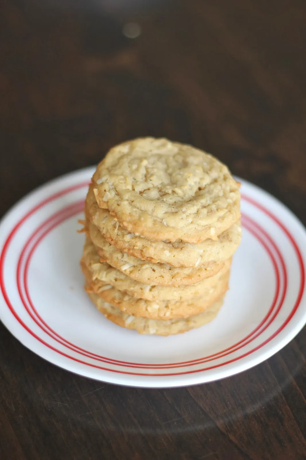 Oatmeal Nut Sea Salt Chewies