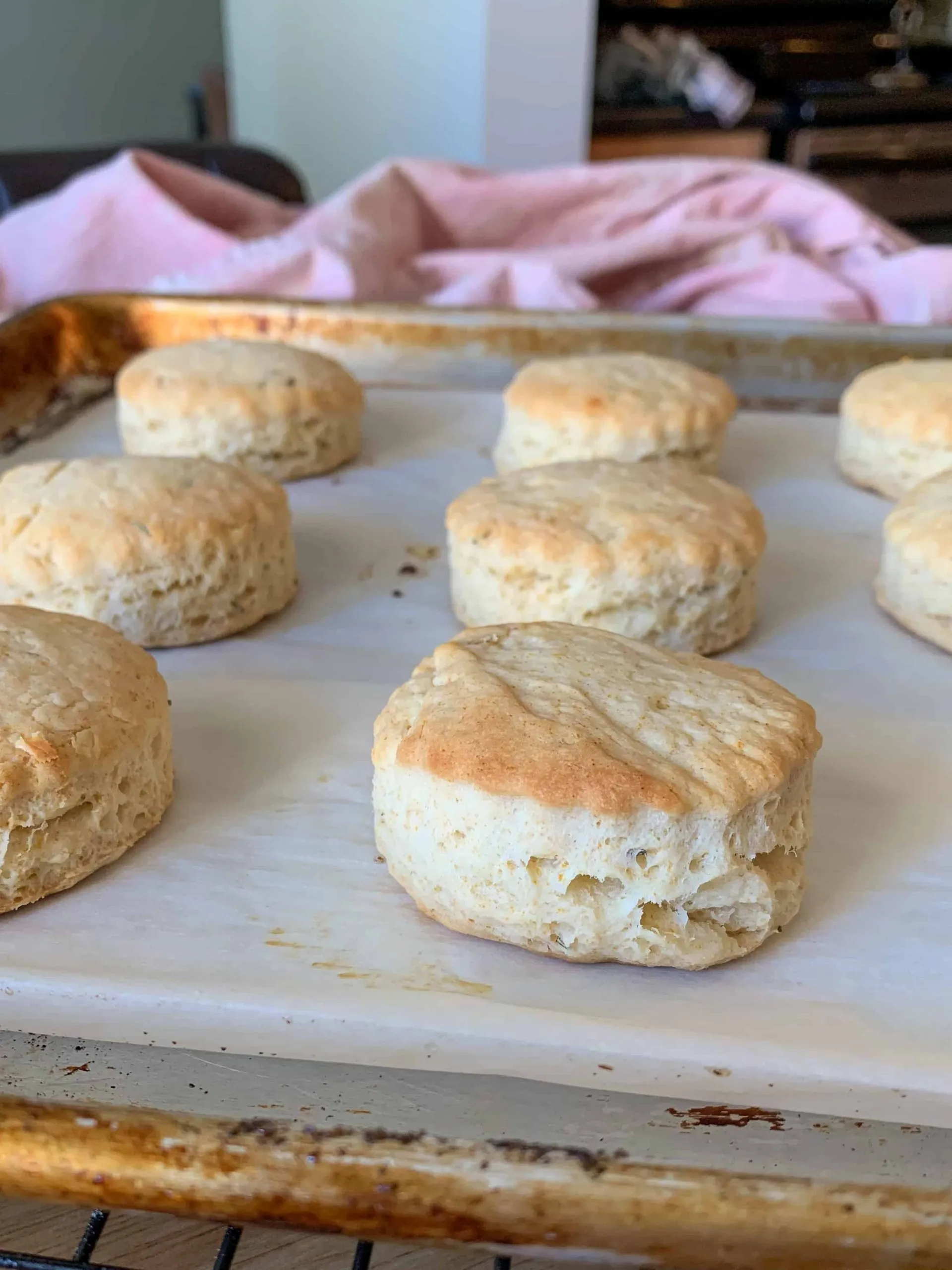 Olive Oil Biscuits Without Butter