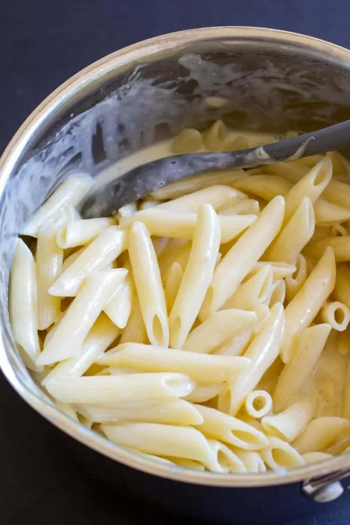 One Pot Creamy Noodles