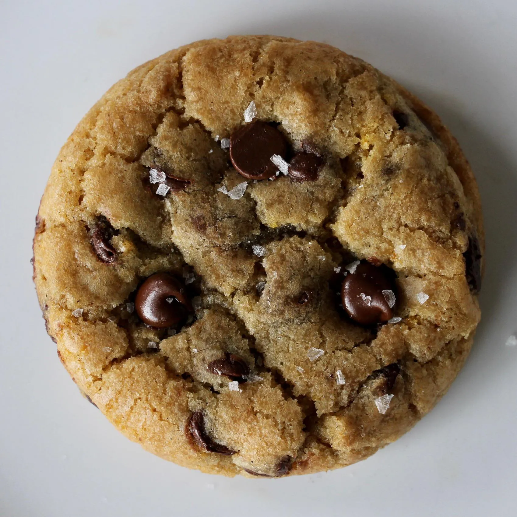 Orange Cardamom Chocolate Chip Cookies