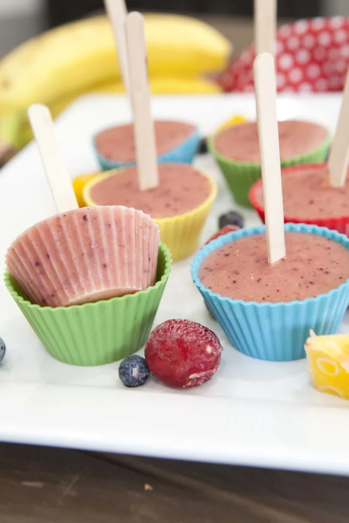 Orange Vanilla Frozen Yogurt Mini Pops