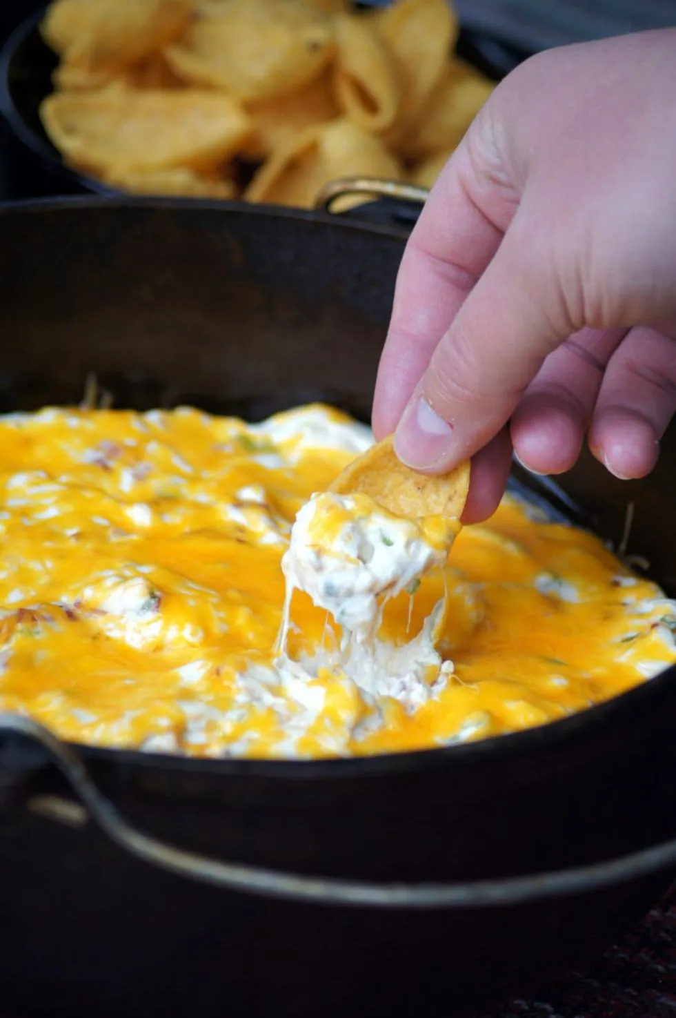 Original Hot Cheese Dip