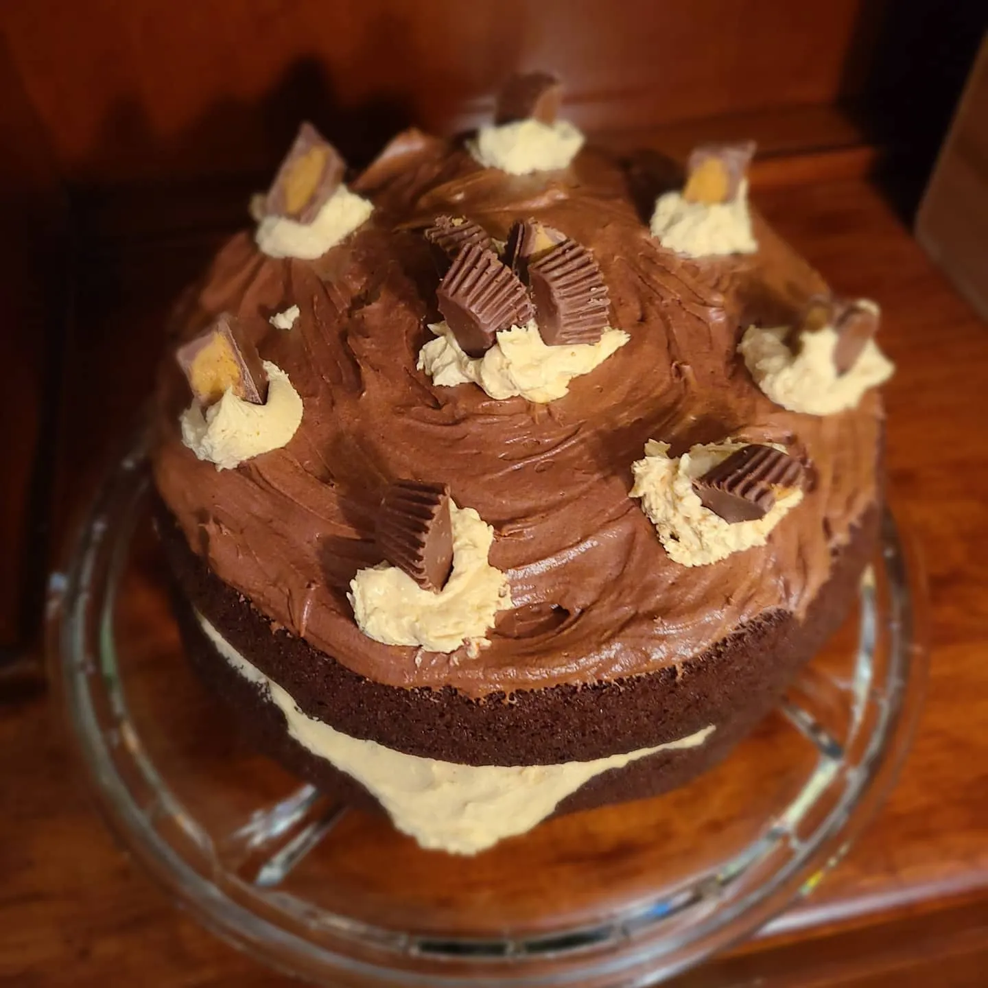 Peanut Butter Brownie Cake