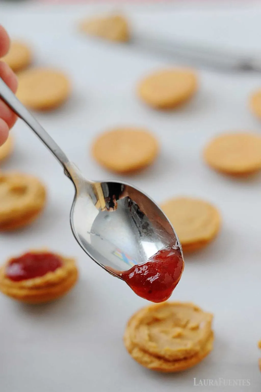 Peanut Butter Jelly Mini Ice Cream Sandwiches