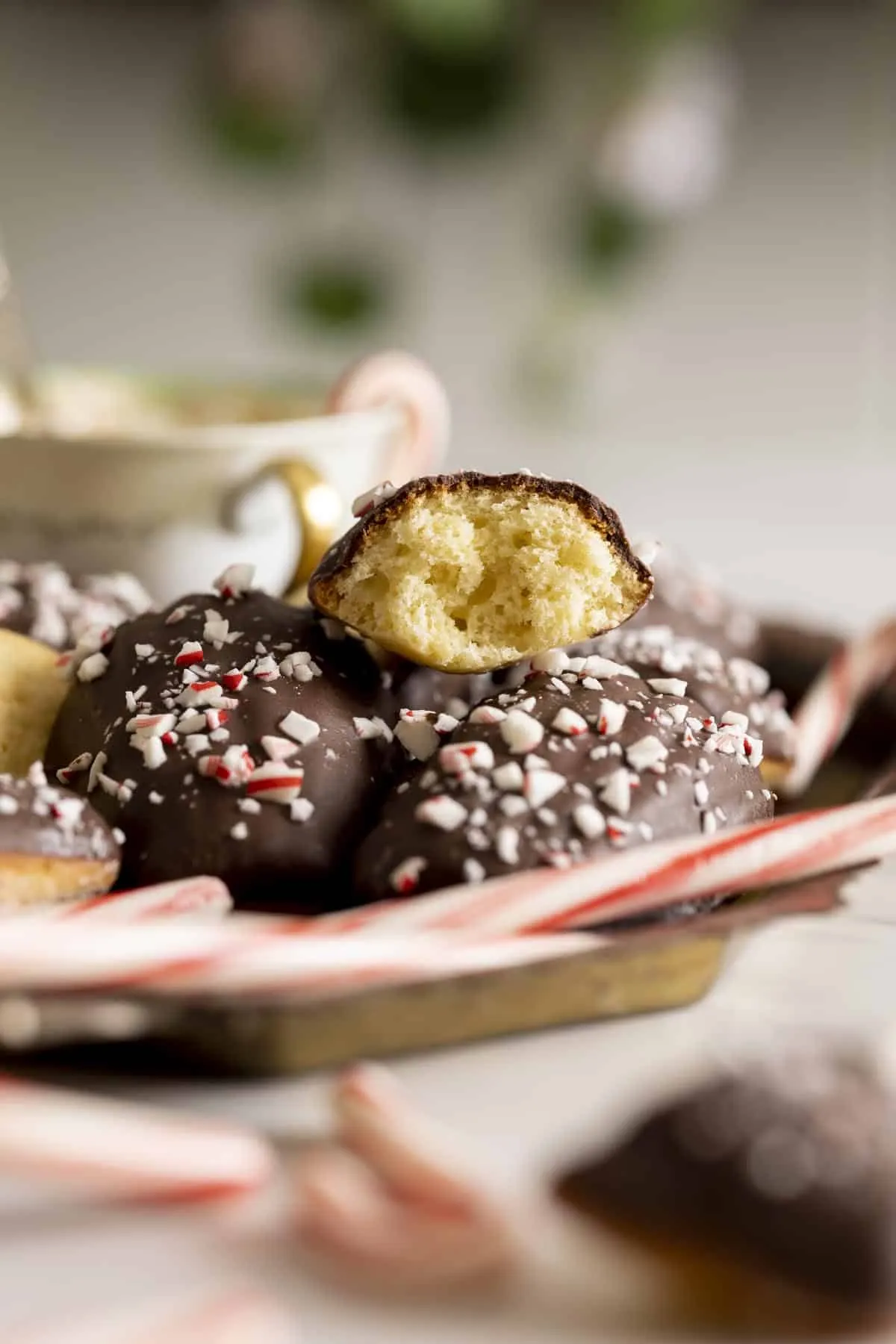 Peppermint Chocolate Dipped Madeleines