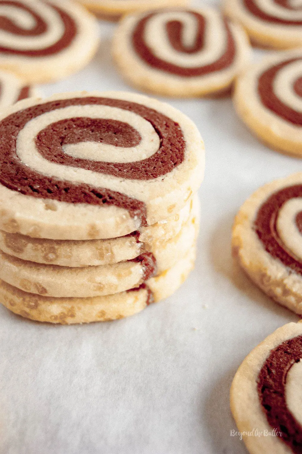 Perfect Chocolate Pinwheel Cookies
