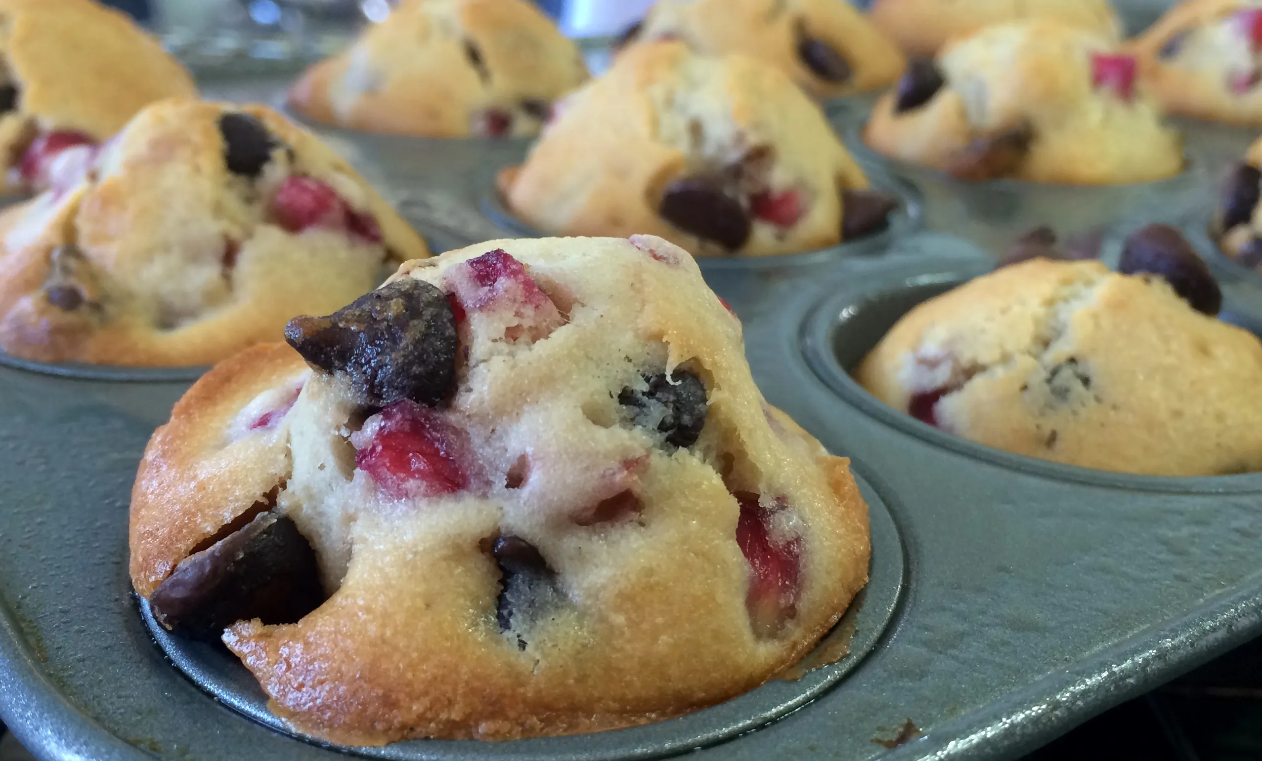 Pomegranate Chocolate Chip Muffins