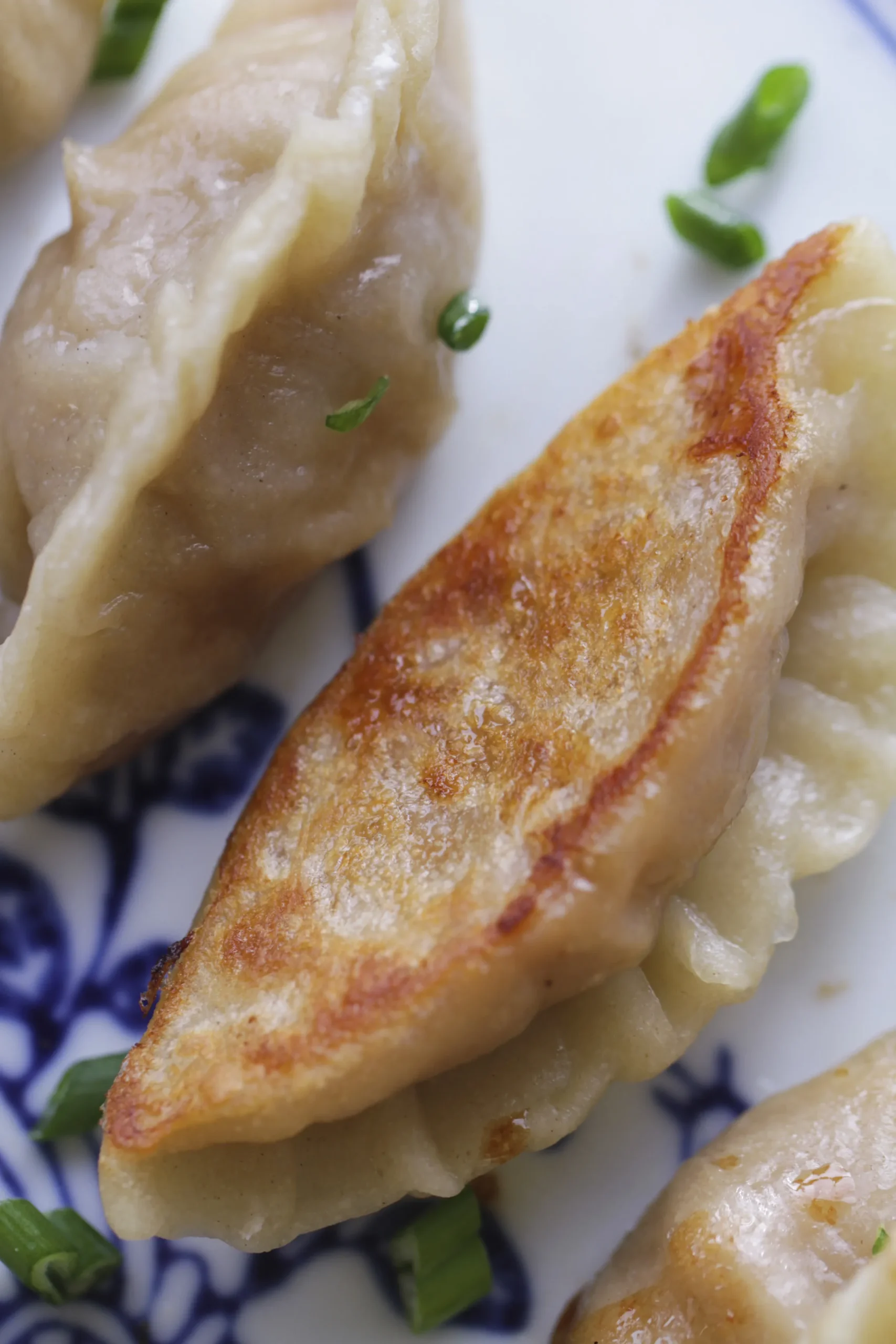 Pork and Ginger Pot Stickers in Hot Water Dough