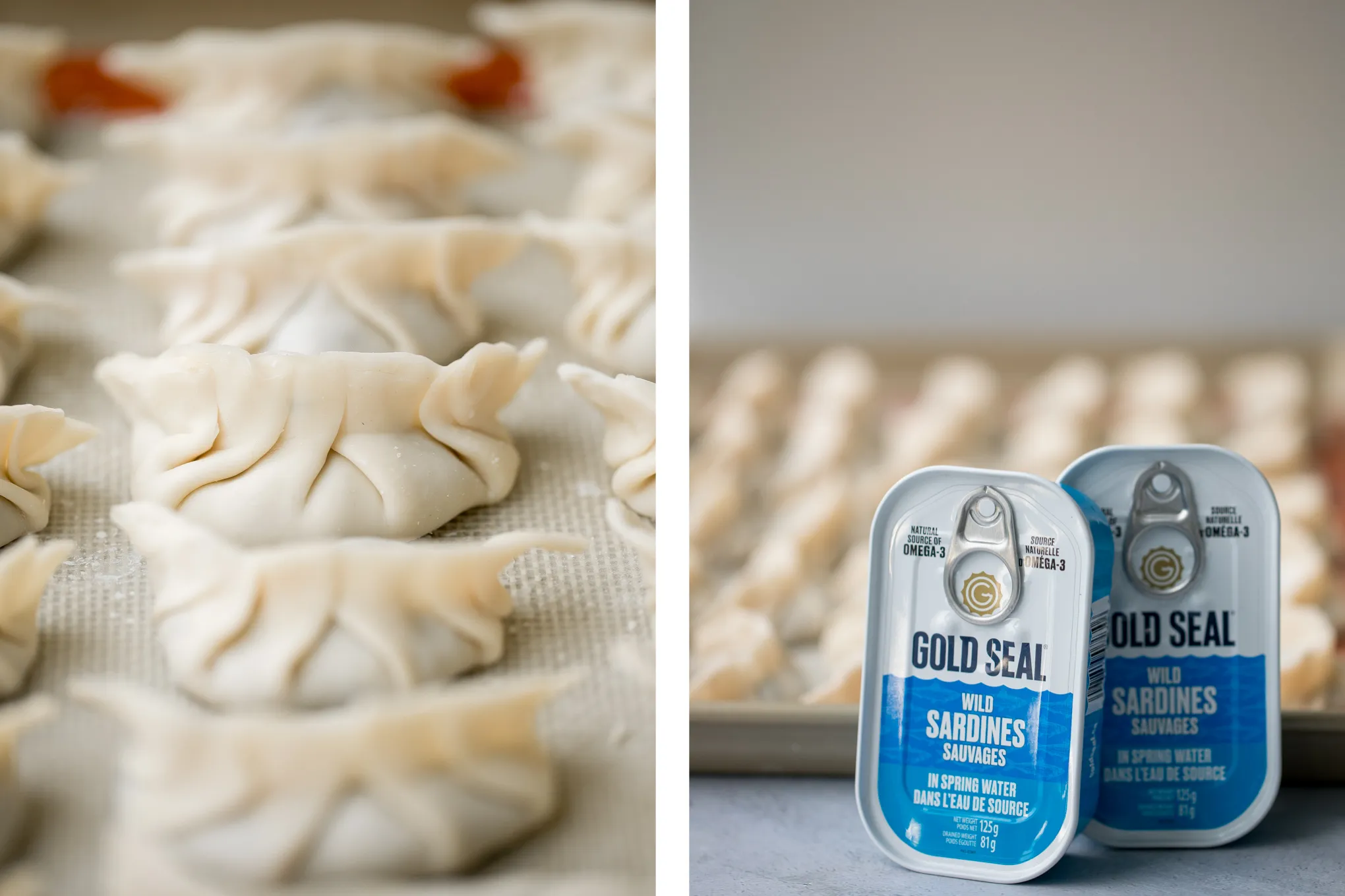 Pork and Sardine Dumplings Potstickers