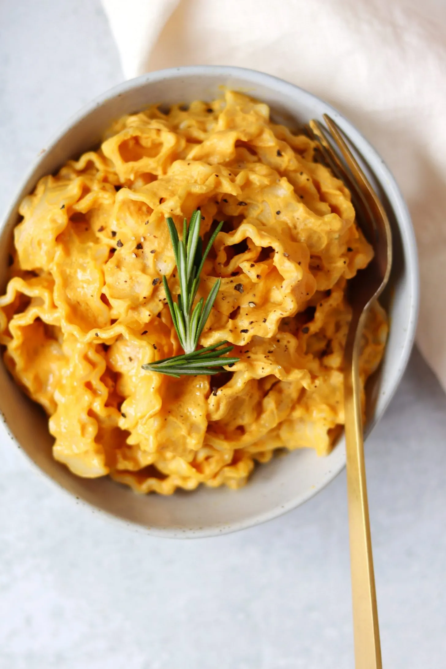 Pumpkin Alfredo Sauce Pasta