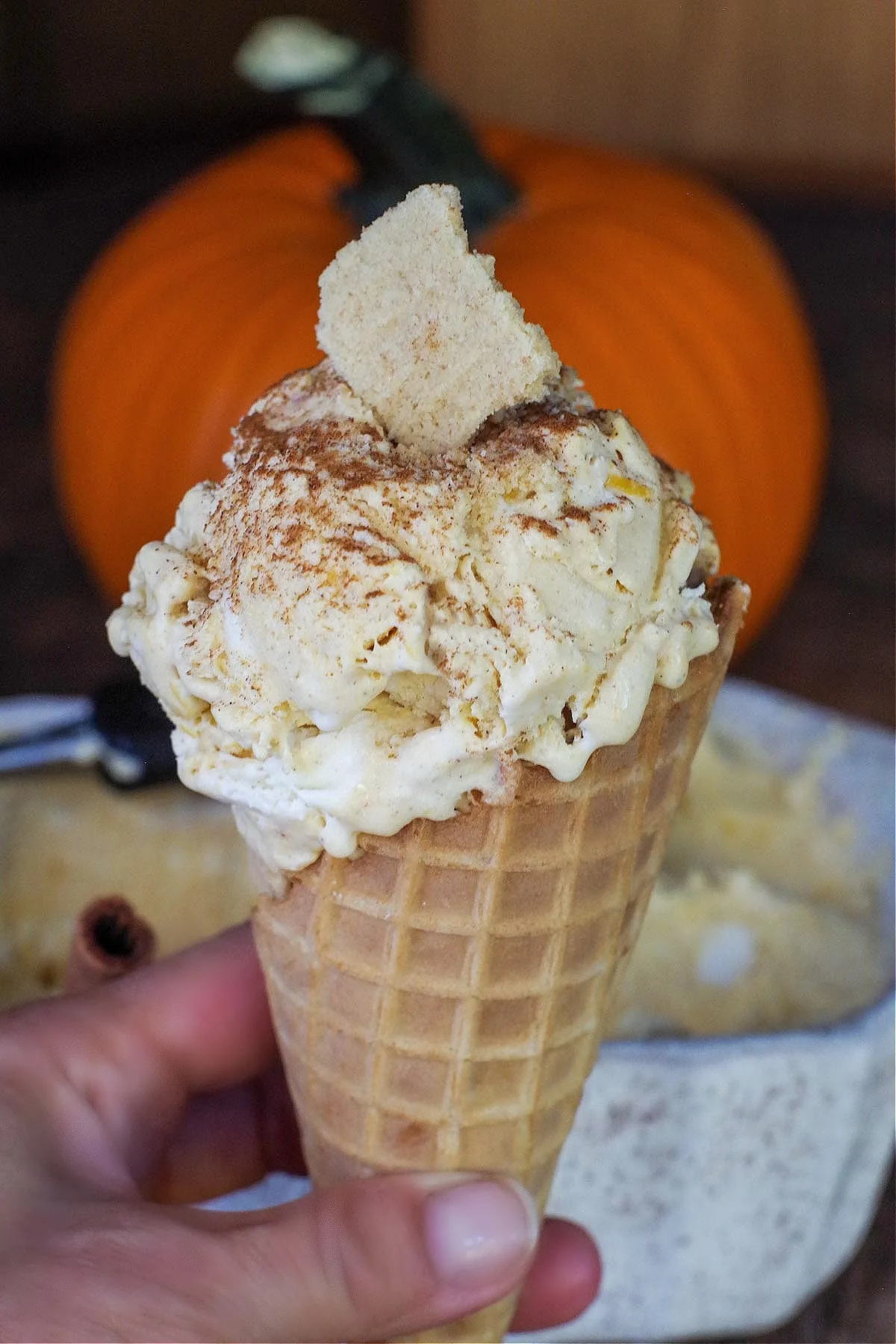 Pumpkin Pie Ice Cream No Ice Cream Maker Required