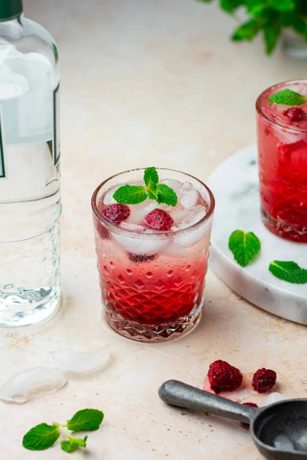 Raspberry Rose Gin Fizz