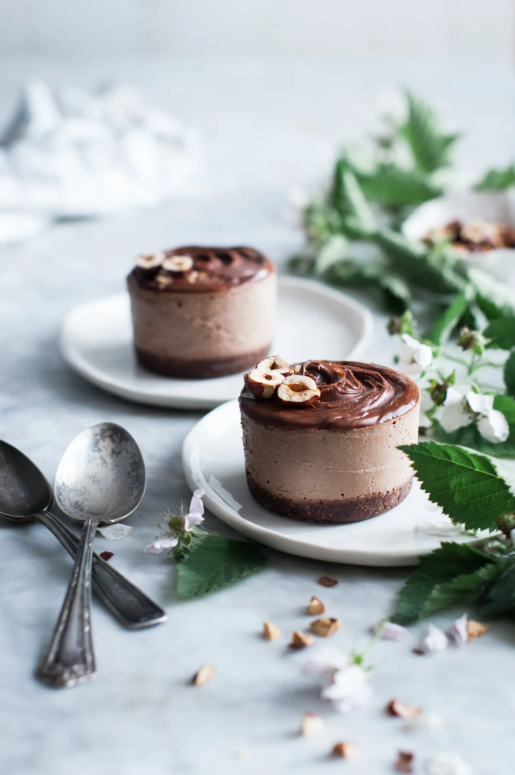 Raw Chocolate Dessert Ice Cream