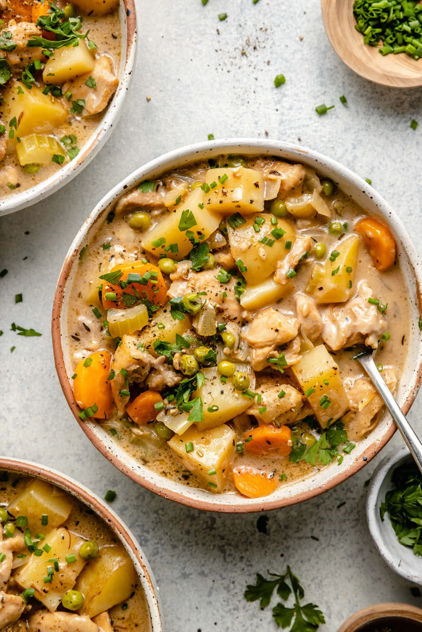 Roast Chicken Stew (Braunes Geflügelragout)
