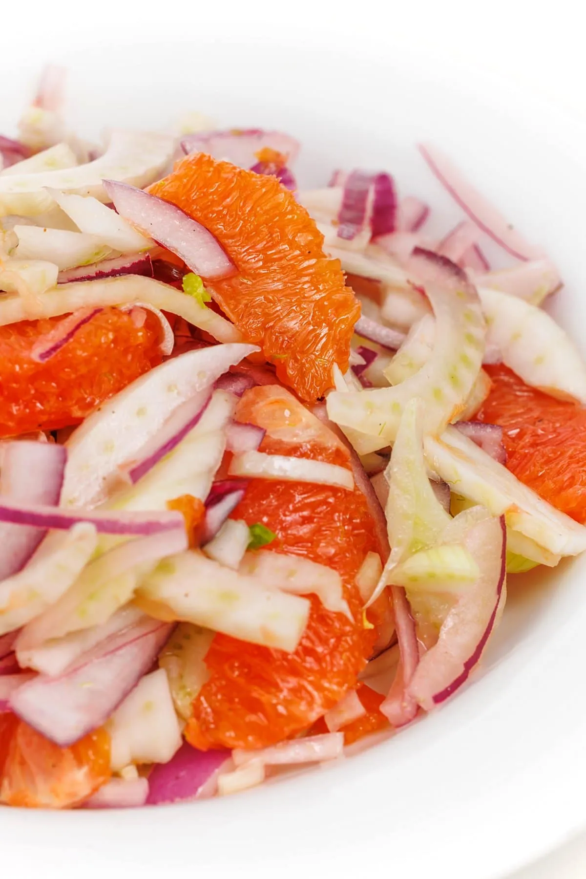 Romaine Red Onion and Fennel Salad