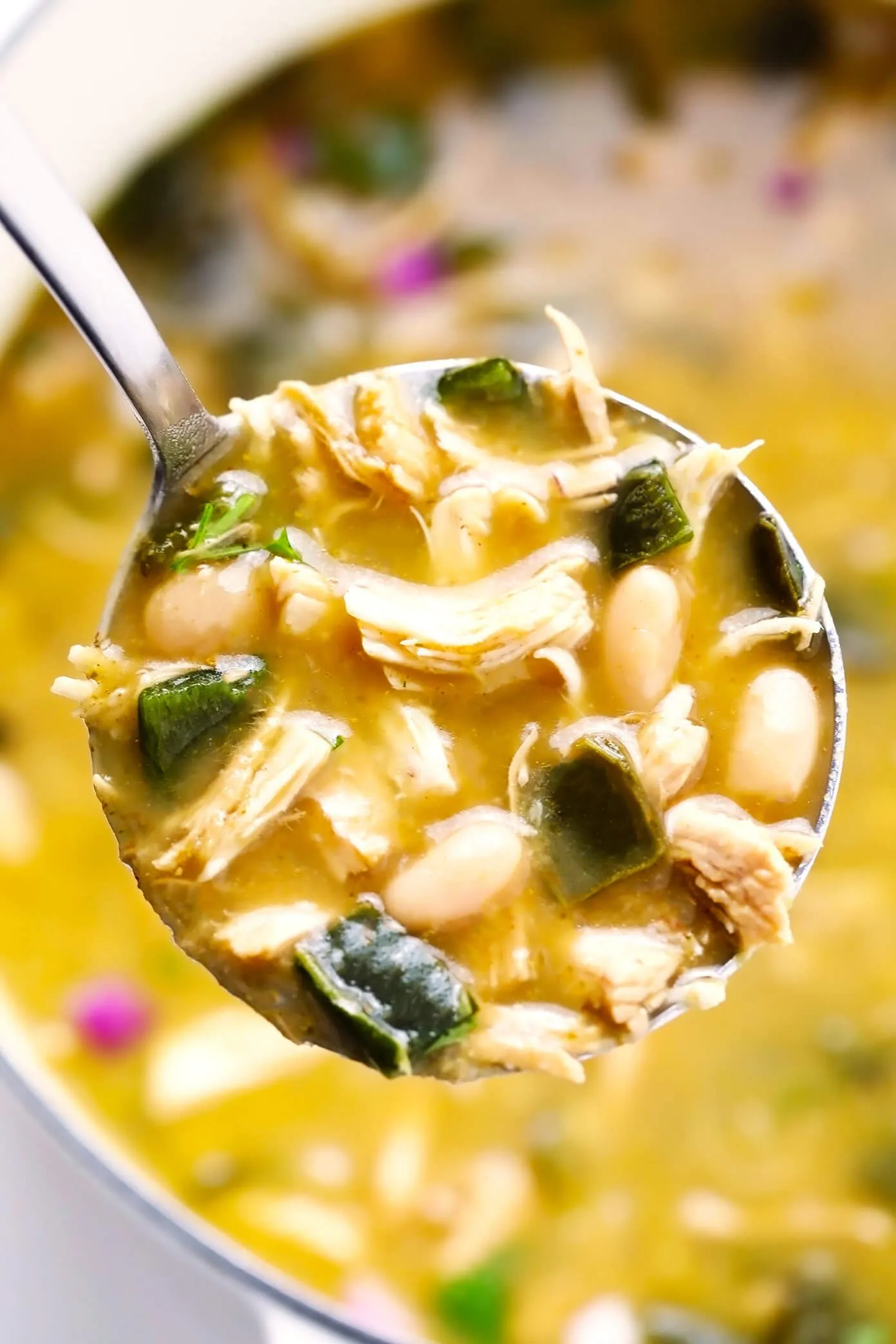 Salsa Poblano Chile Chicken LHJ