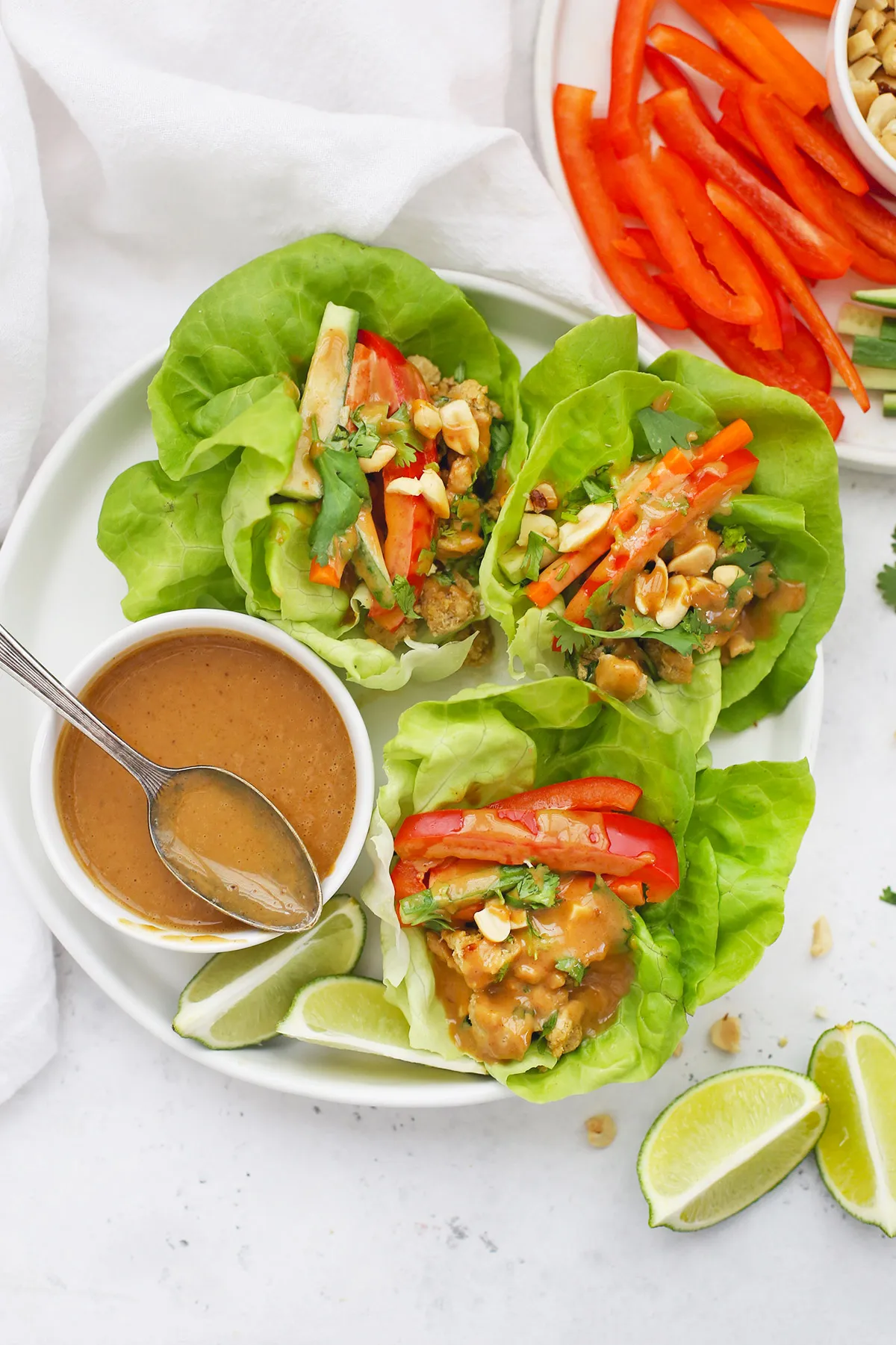 Scrumptious Chicken Lettuce Wraps with Peanut Sauce